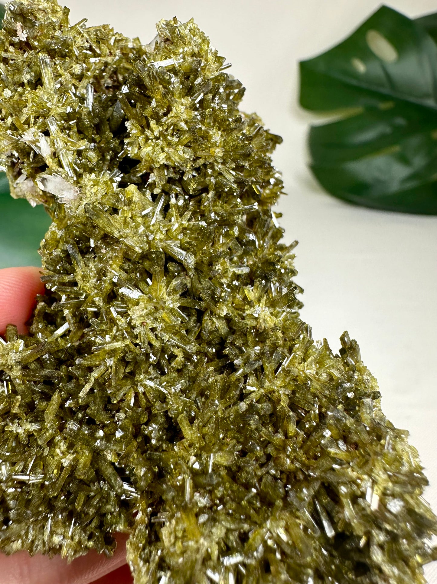 Cuartel general de Epidote n.° 510EQ