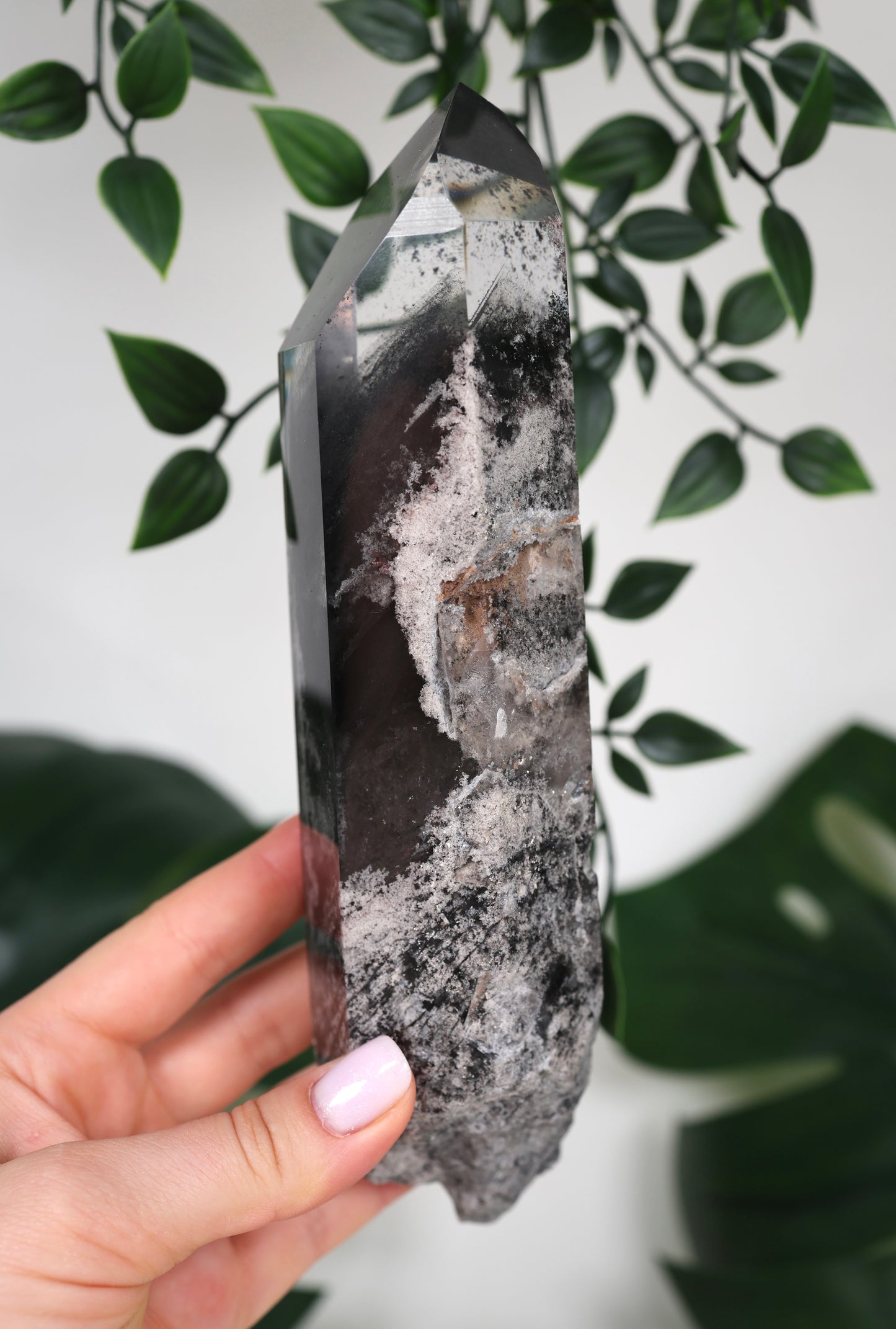 Black Phantom Lemurian Semi-Polished XL Nr.965BL