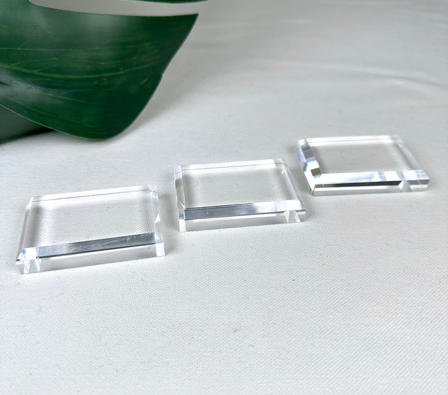 Acrylic Plate for Specimen L 6x4 cm