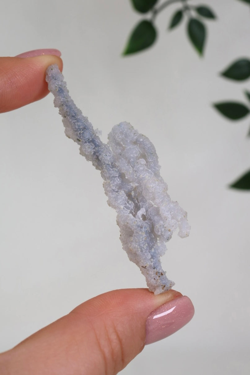 Calcedonia azul coral - Selección