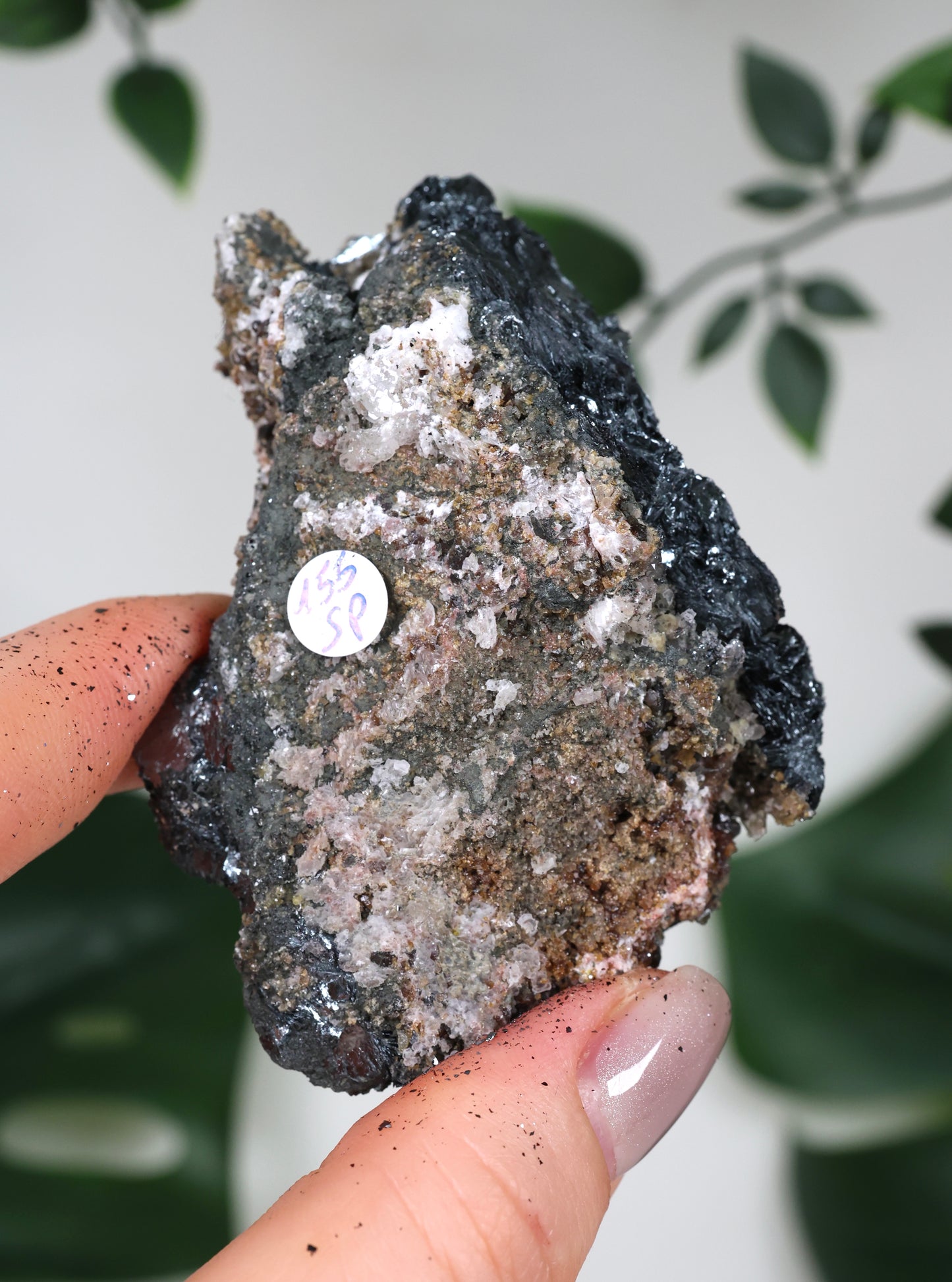 Especularita n.º 155SP