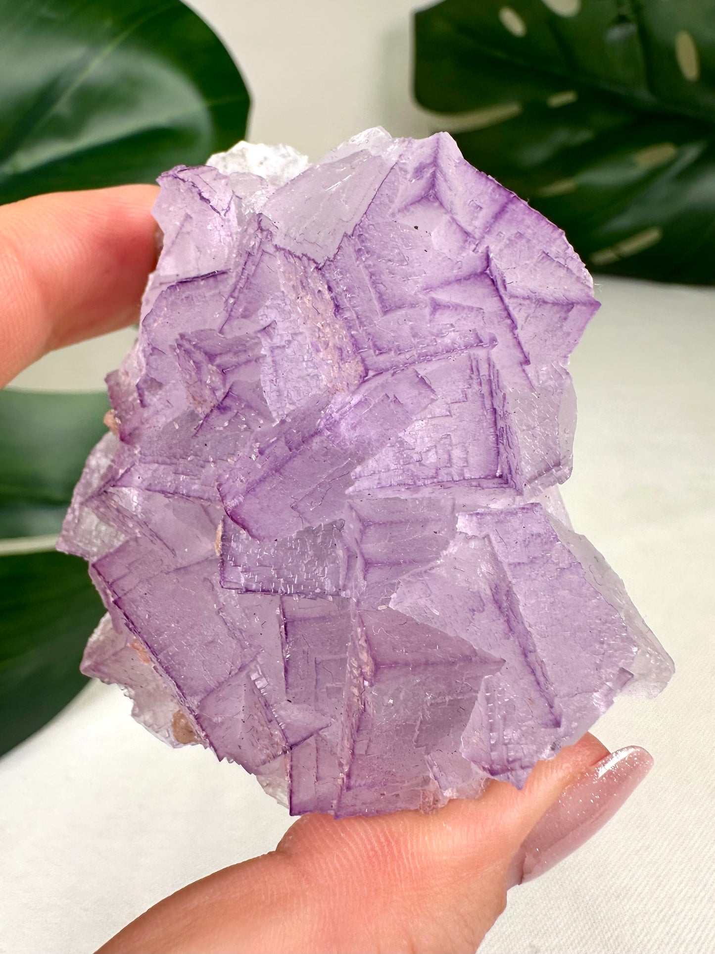 Fluorita Filo n.° 104FF