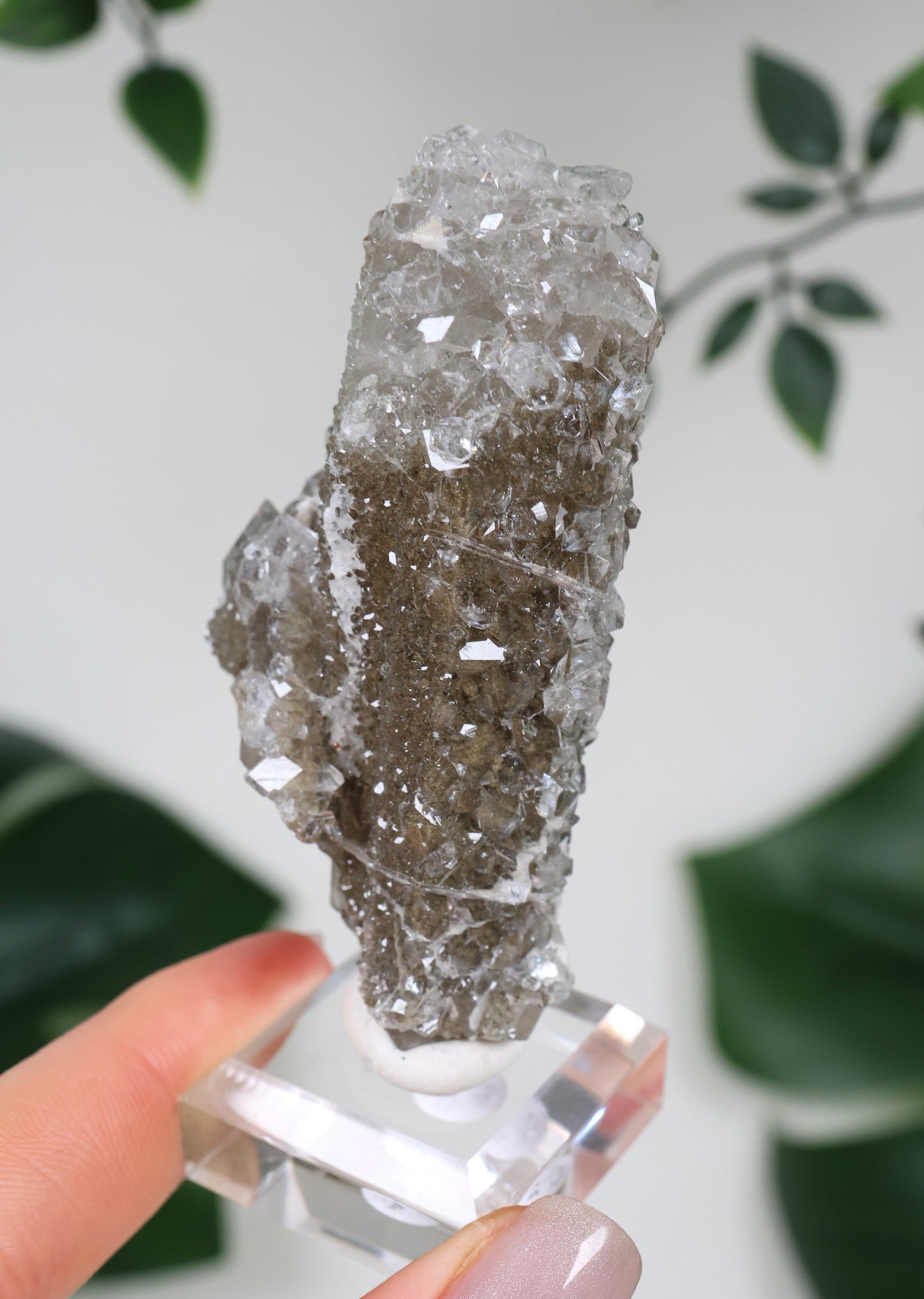 Apophyllite x Quartz x Chlorite No. 129QA