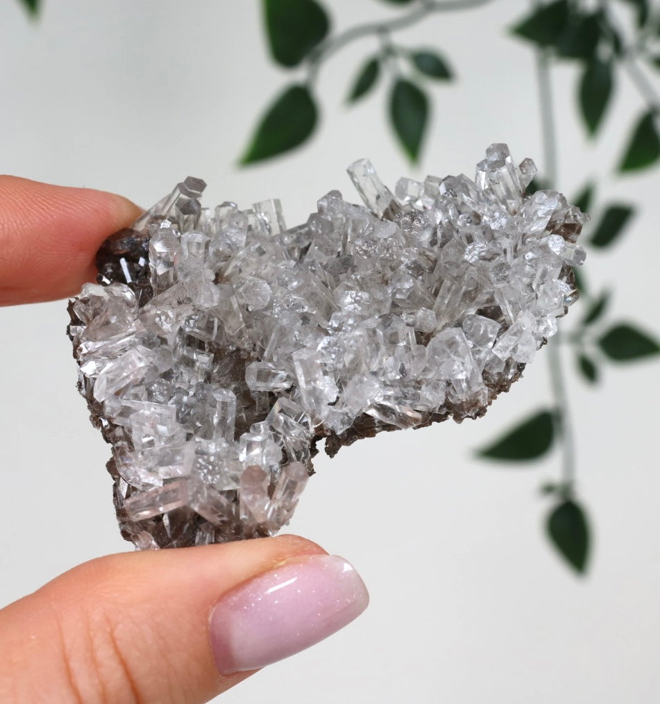 Columnar Calcite No. 66CO