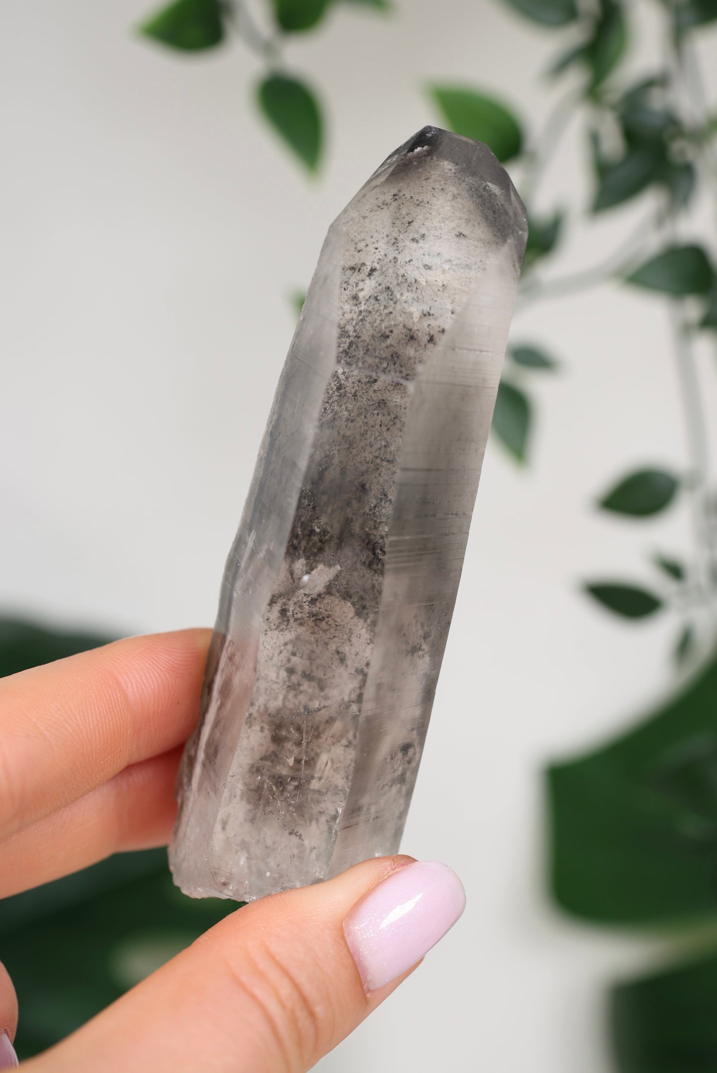 Black Phantom Lemurian Semi-Polished Nr.82BL