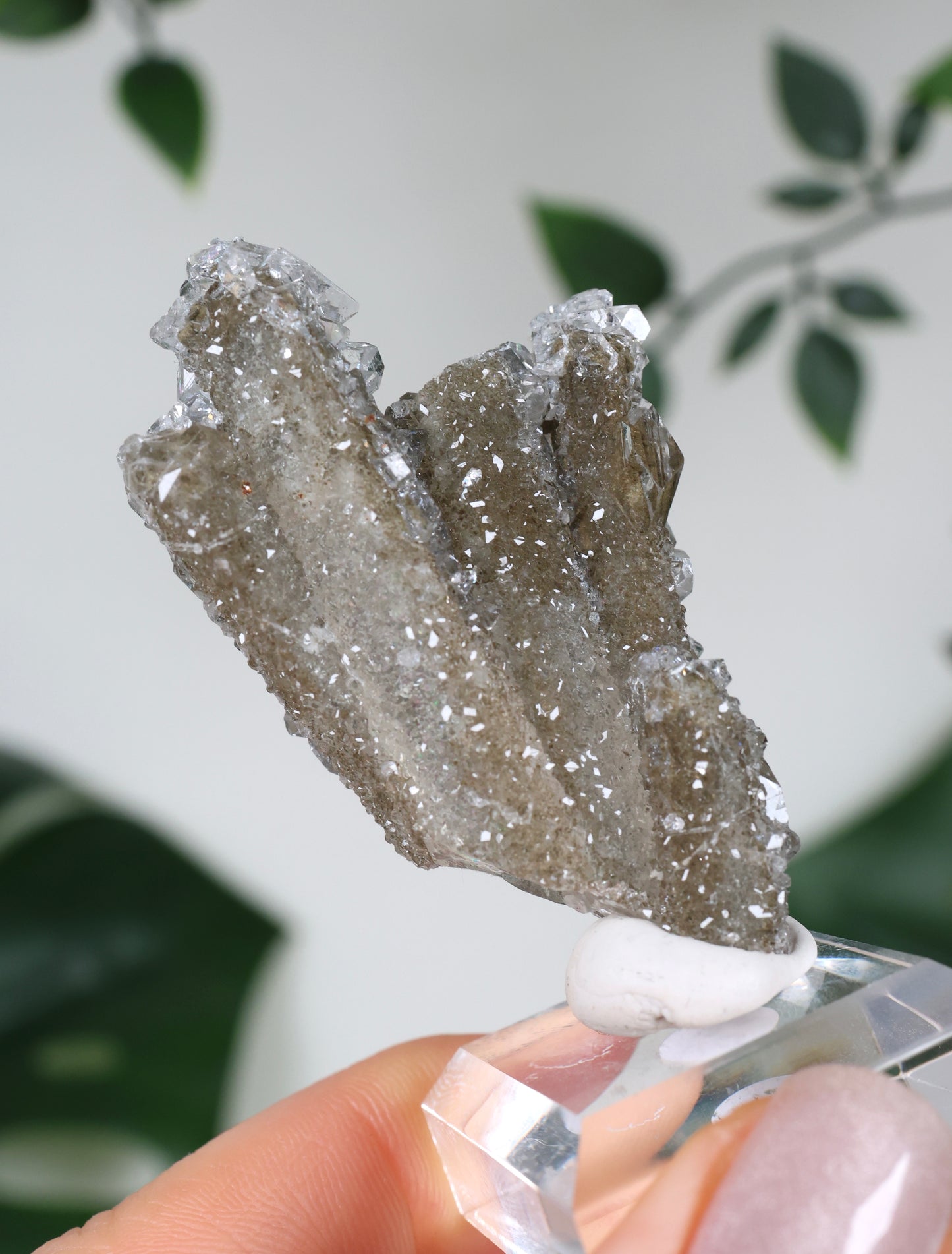 Apophyllite x Quartz x Chlorite No. 111Q1
