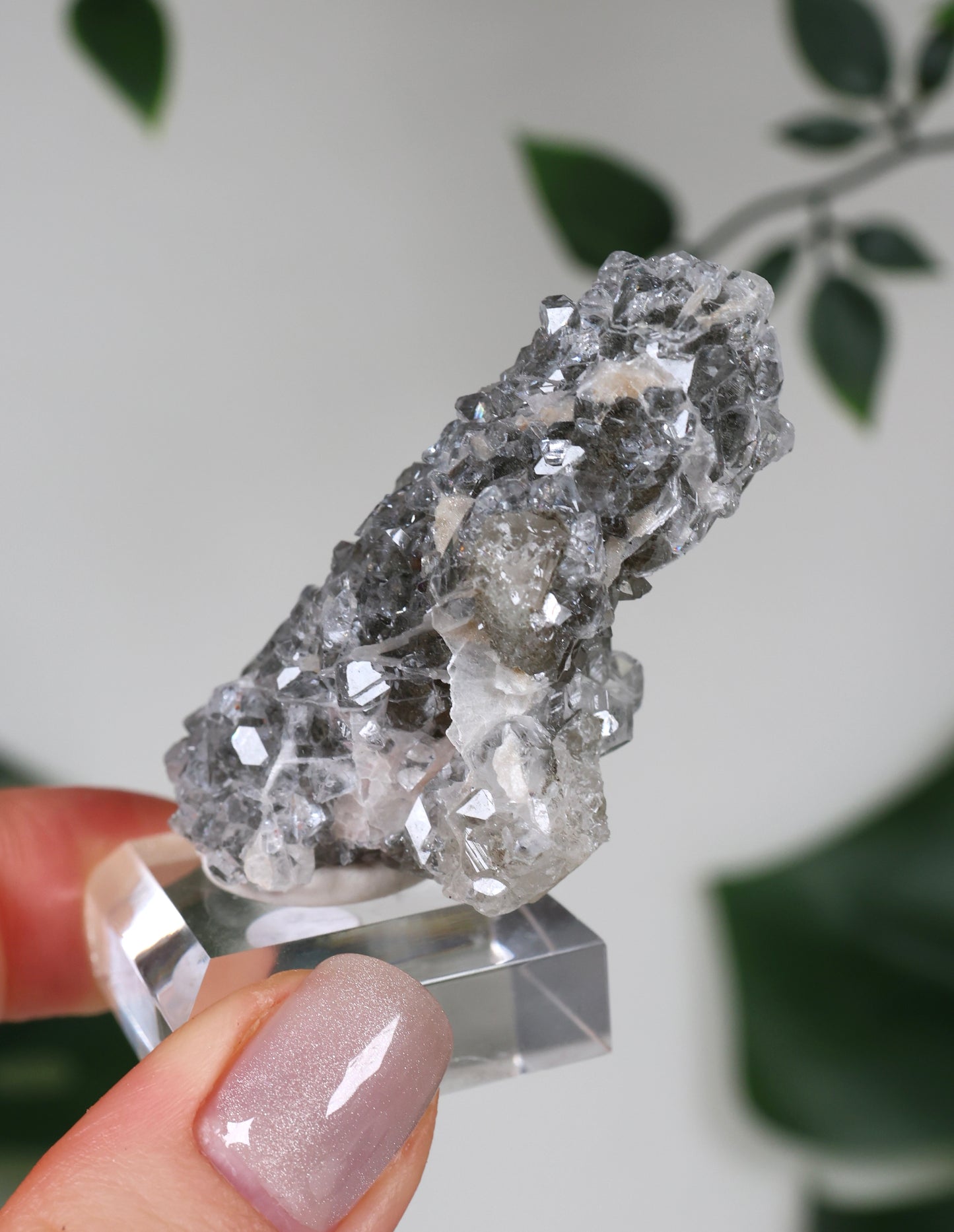 Apophyllite x Quartz x Chlorite No. 111Q2