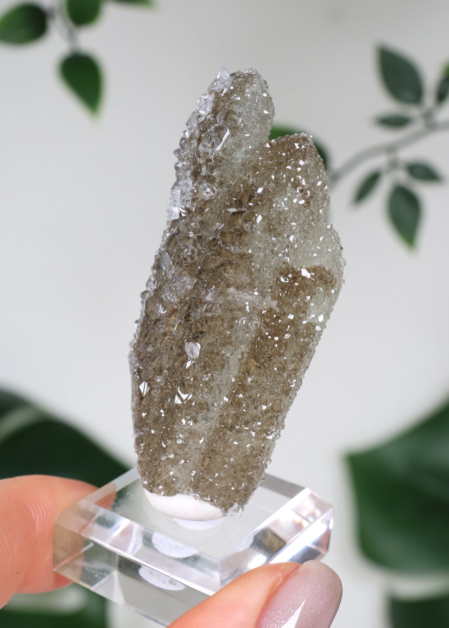 Apophyllite x Quartz x Chlorite No. 119QA