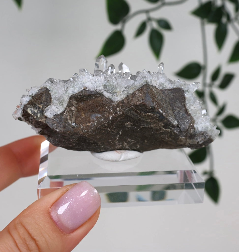Starburst Quartz x Hematite Goboboseb No.168GS