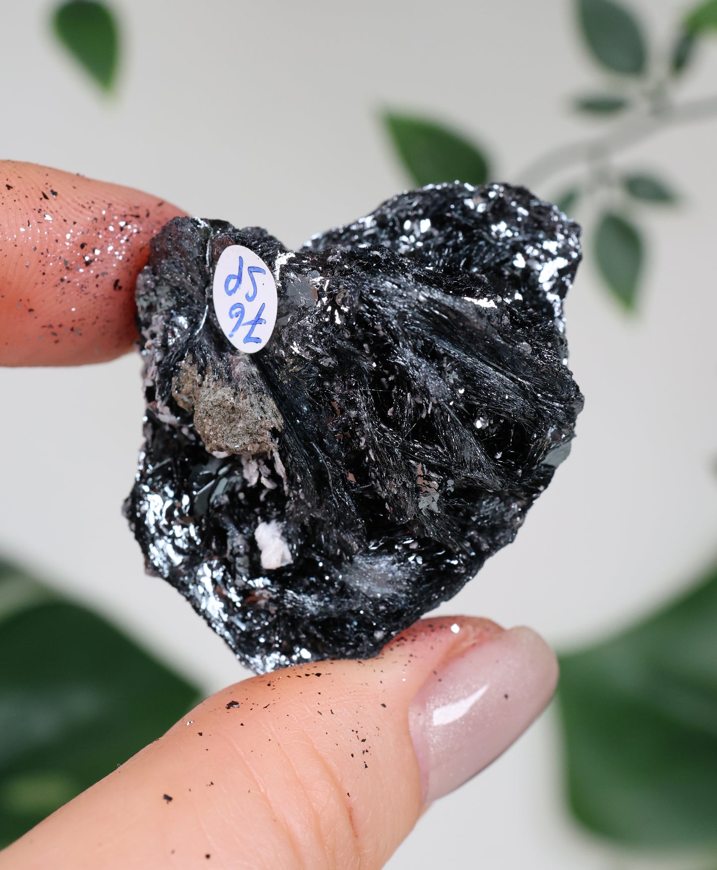 Specularite No. 76SP