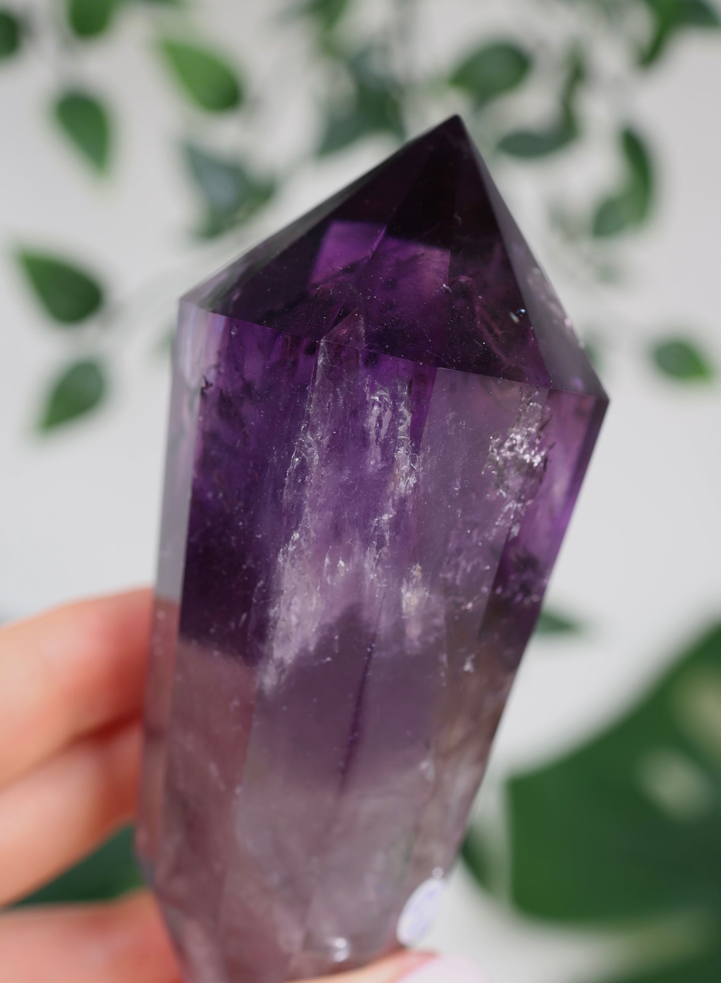 Amethyst Phantom Quarz mit Hollandit ‚Vogel‘ Schliff Nr.181AV