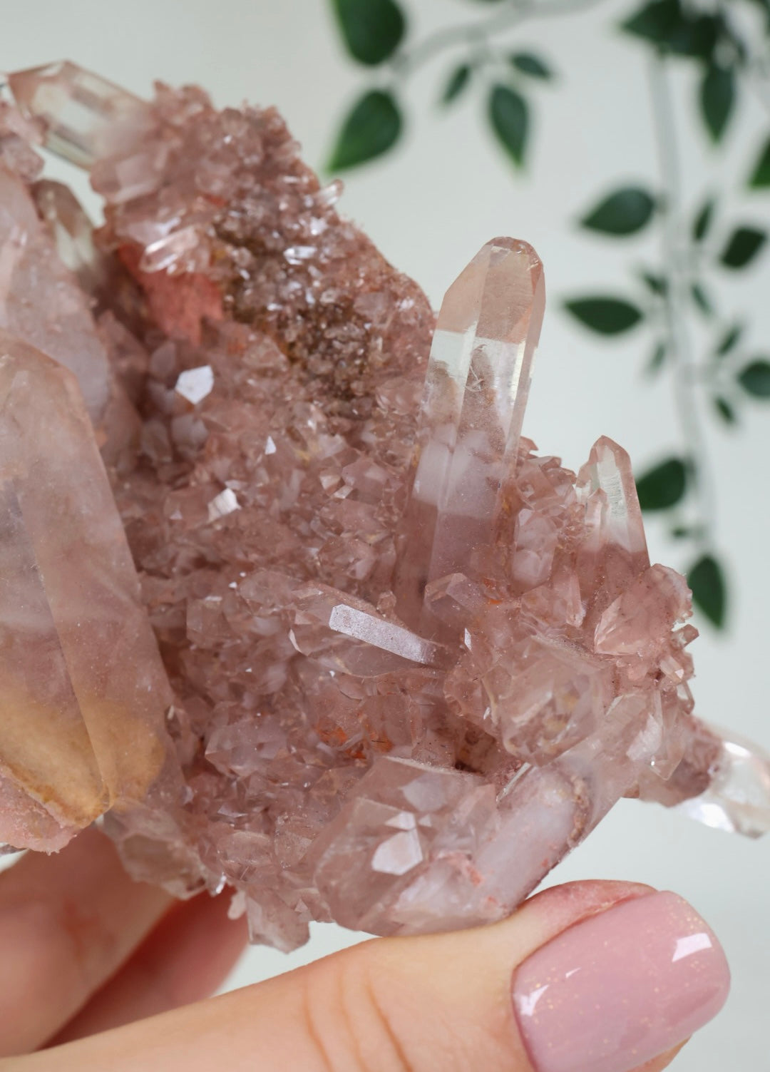 Sunset Quartz No. 500SQ
