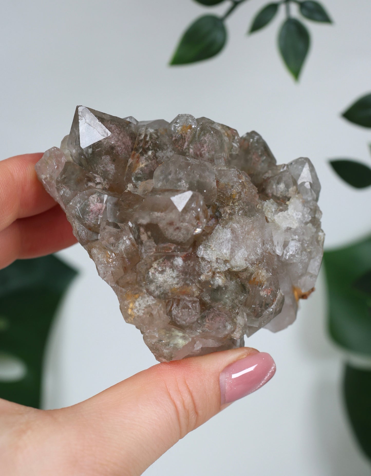 Garden Quartz x Rutile Cluster No.117GR