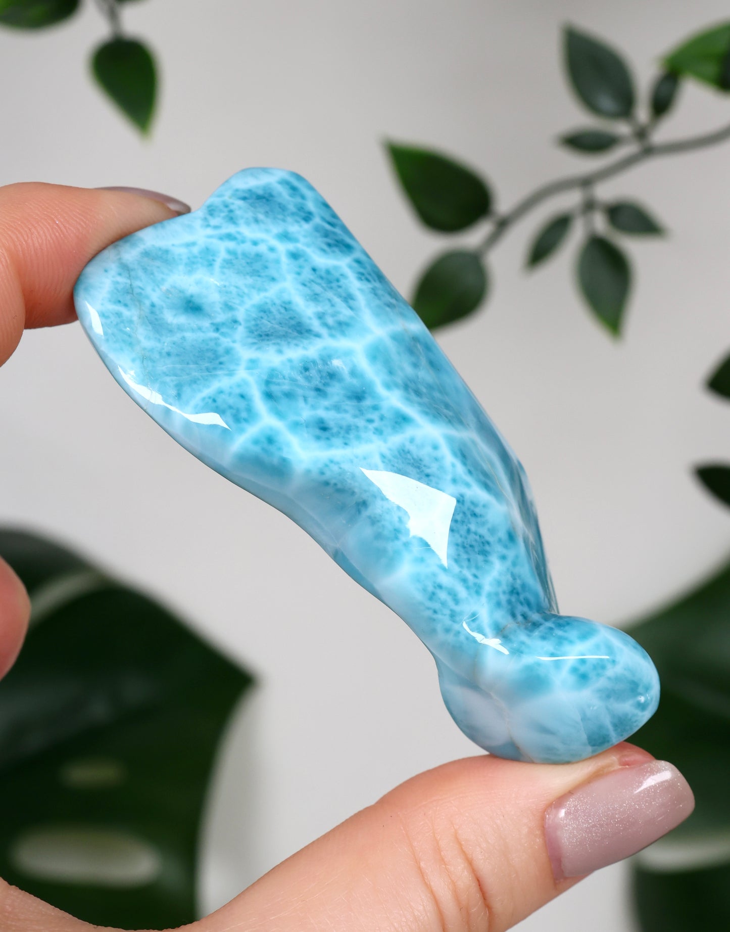 Larimar HQ No. 499LA