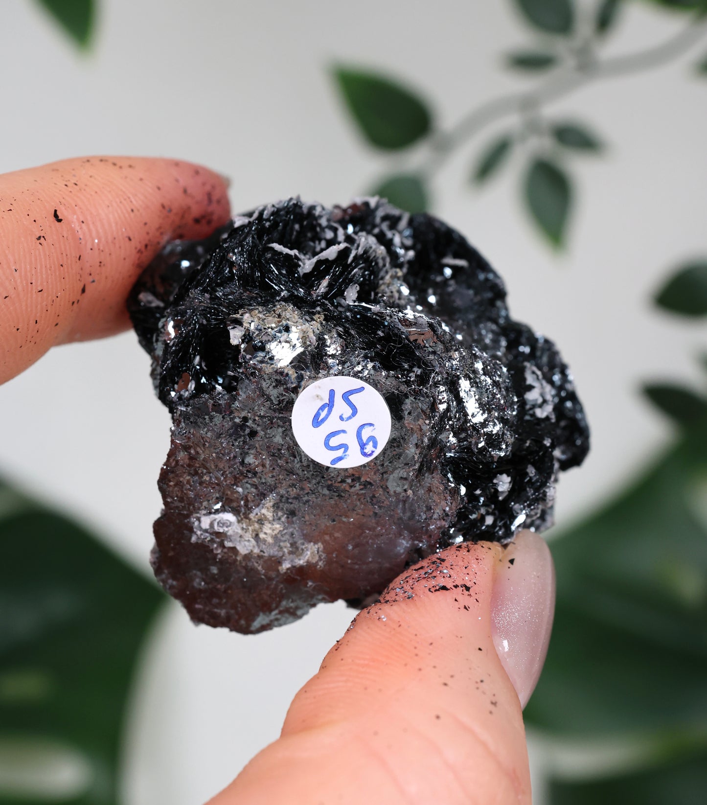 Specularite No. 95SP