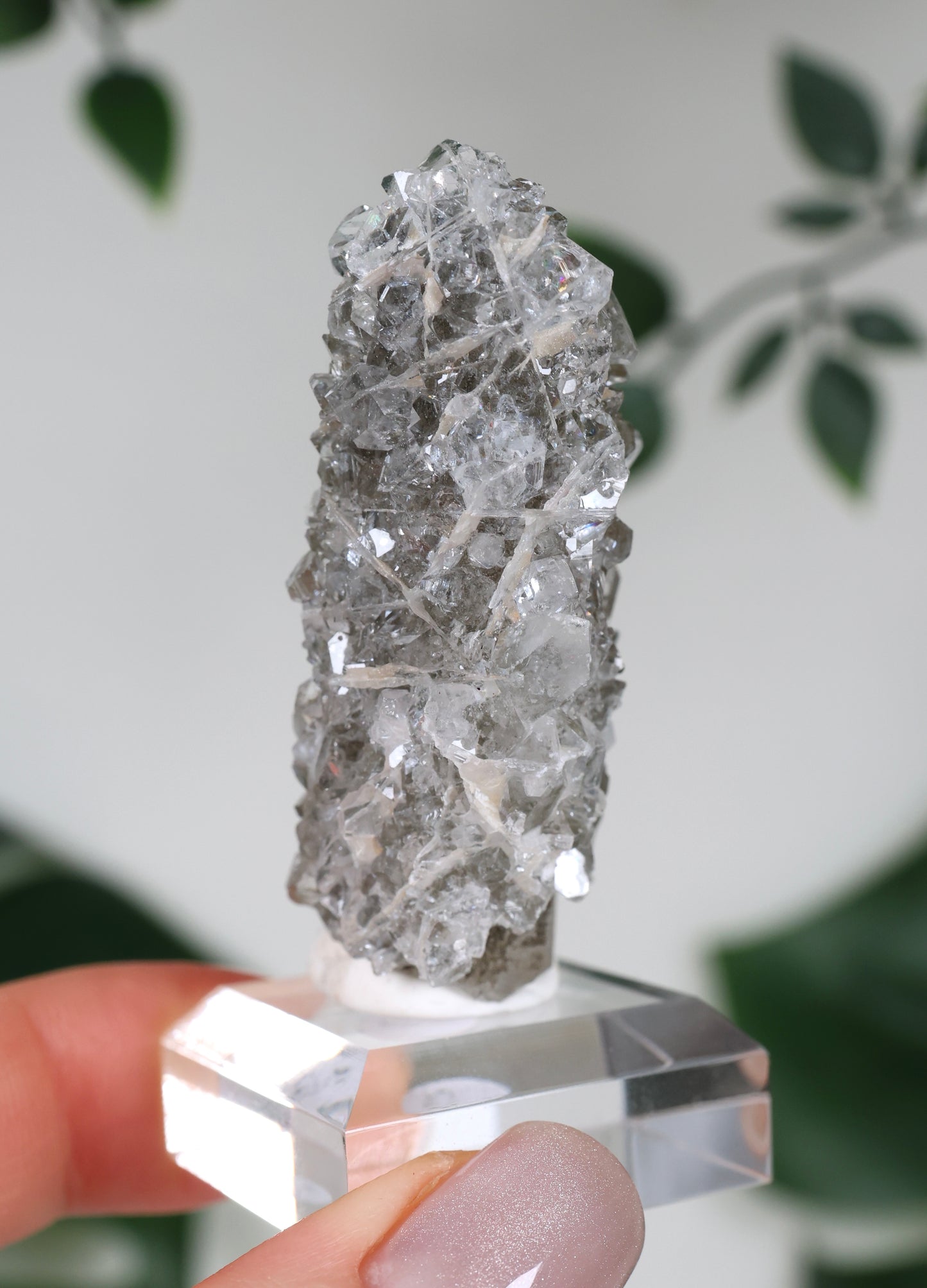Apophyllite x Quartz x Chlorite No. 104QS