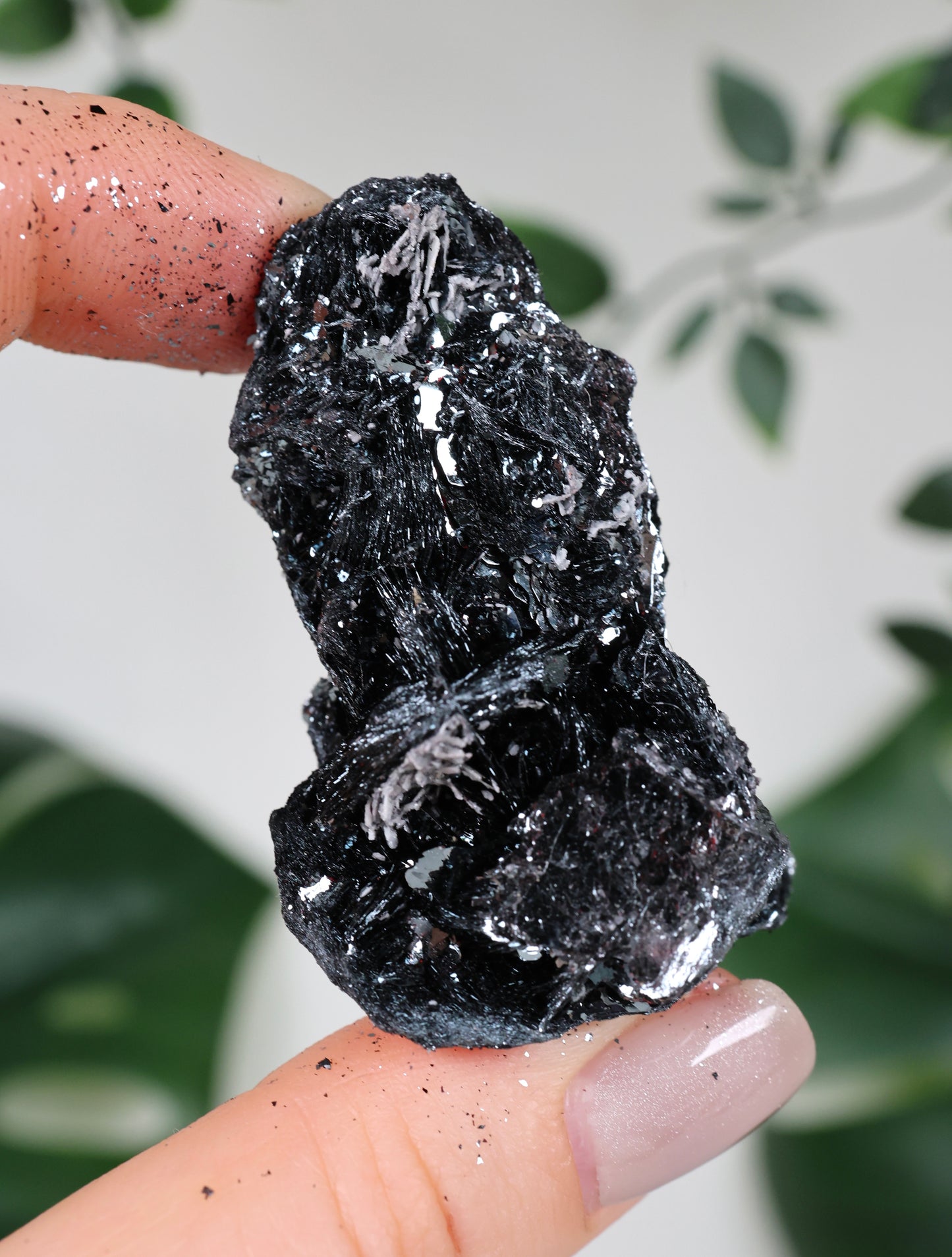 Specularite No. 80SP