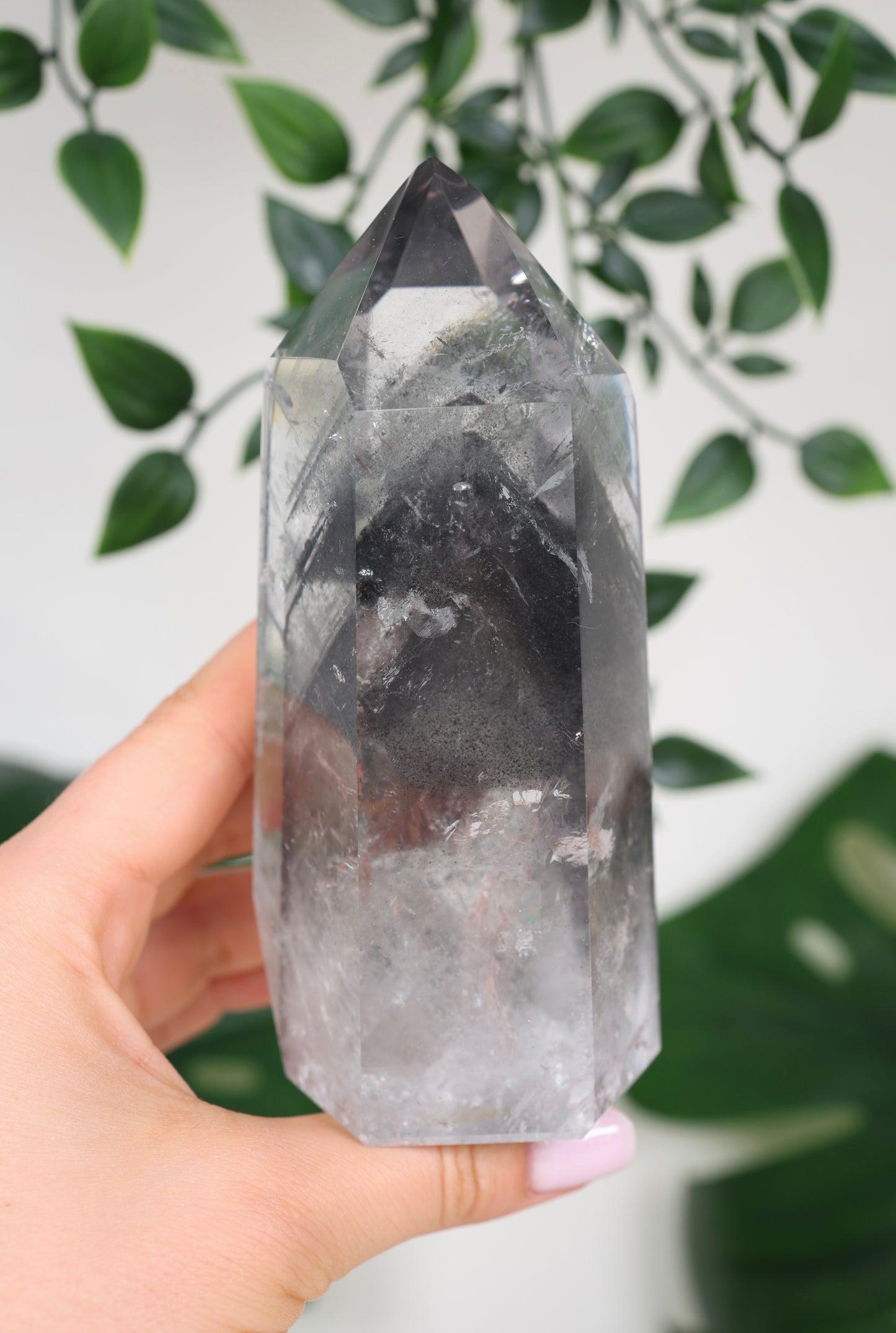 Black Phantom Lemurian Nr.555BL
