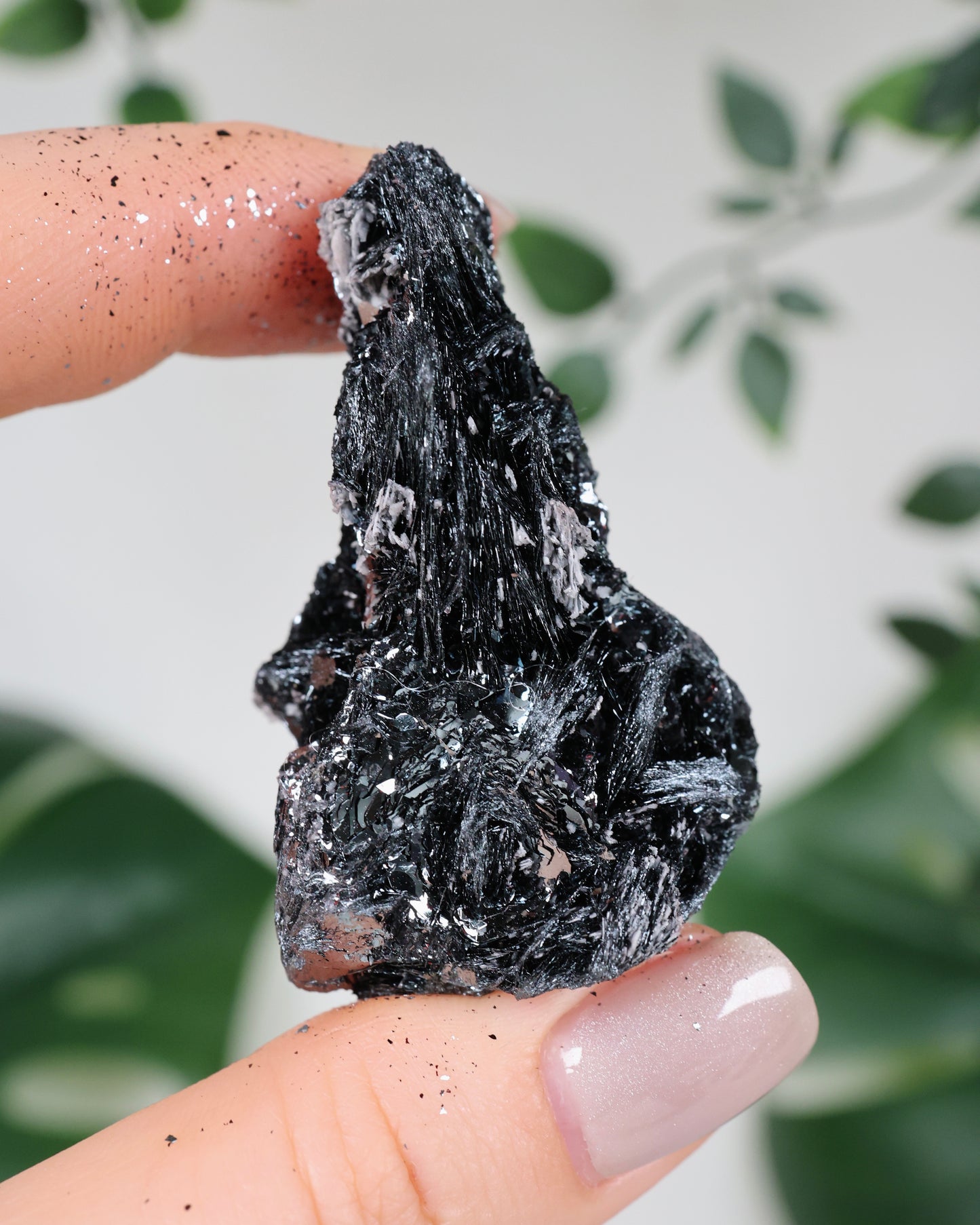 Specularite No. 80SP