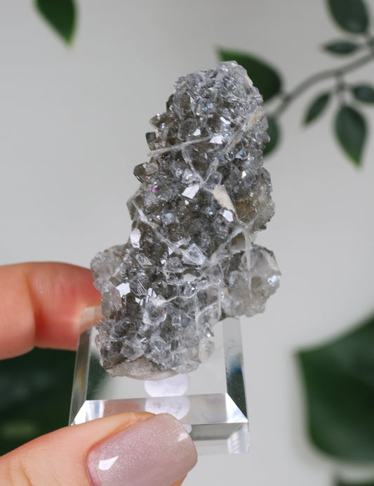 Apophyllite x Quartz x Chlorite No. 111Q2