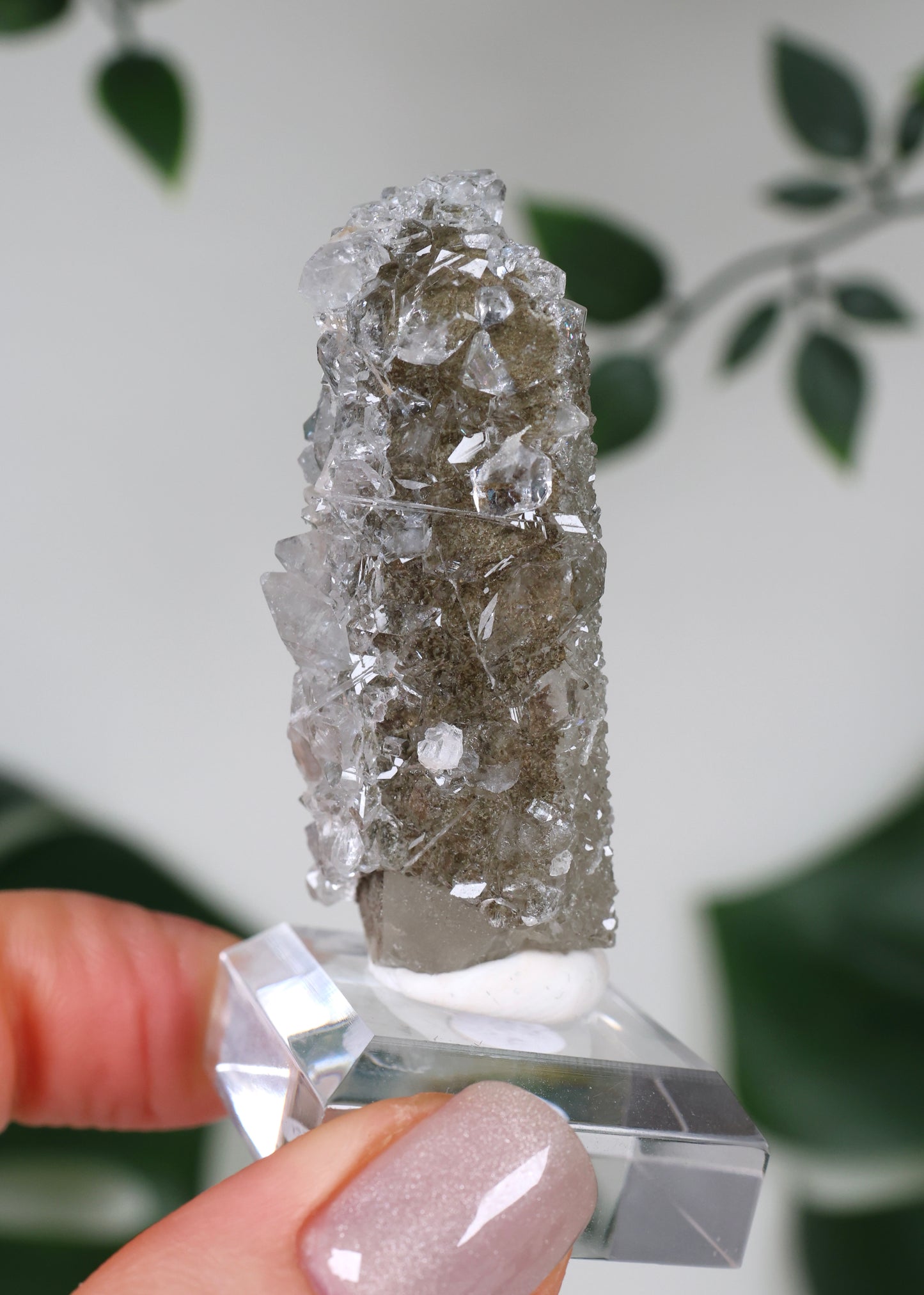 Apophyllite x Quartz x Chlorite No. 104QS