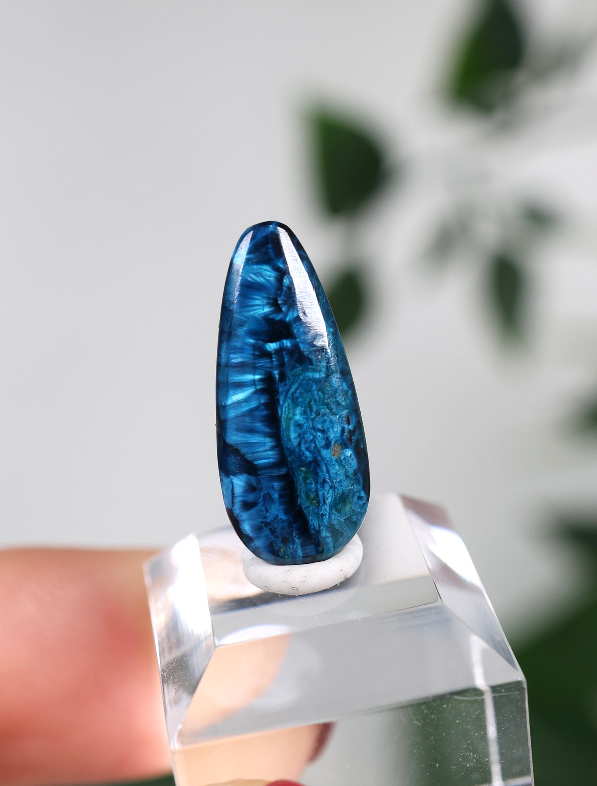 Tantara Shattuckit x Dioptas Oldstock Cabochon Nr.95ST