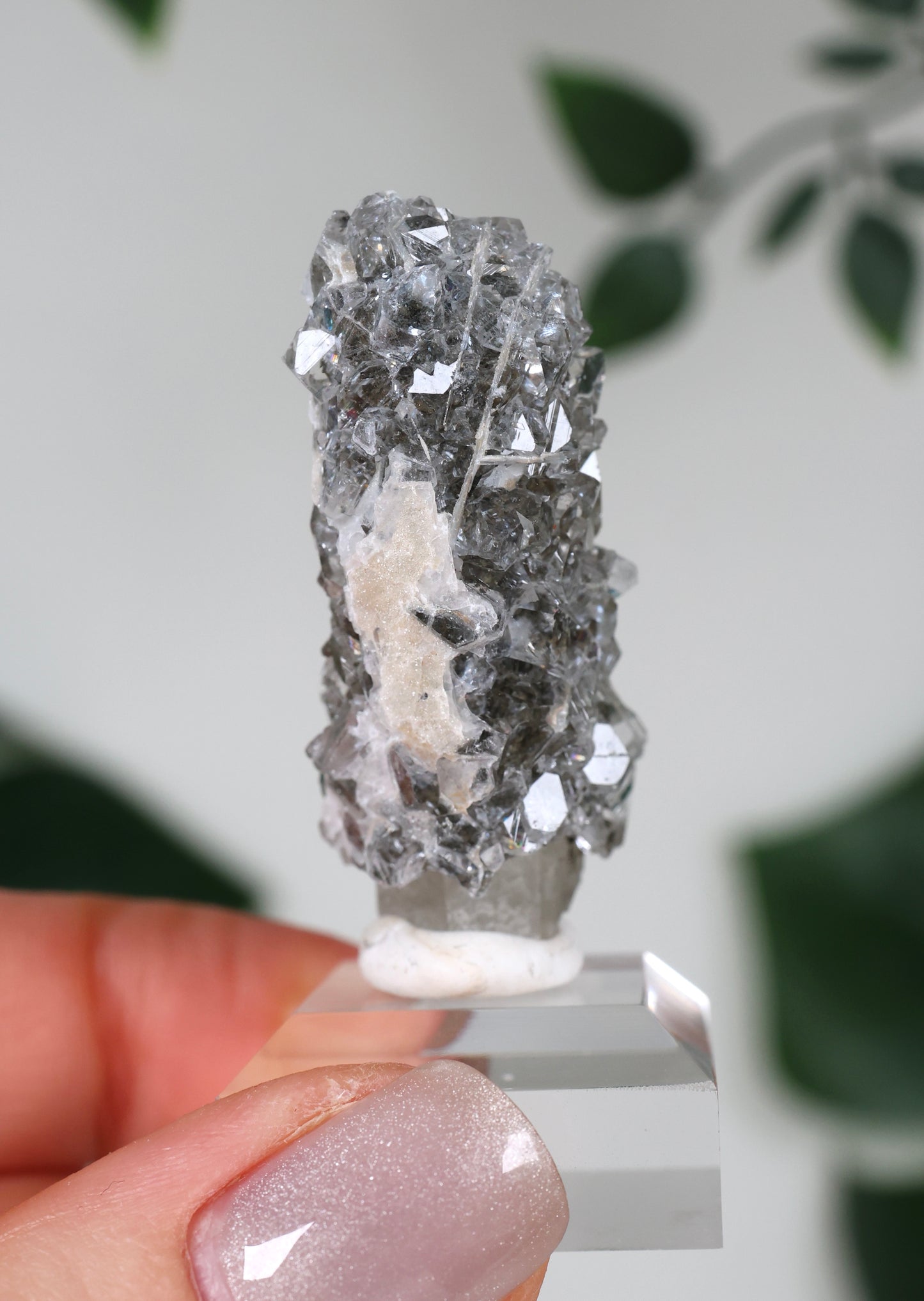 Apophyllite x Quartz x Chlorite No.57QA