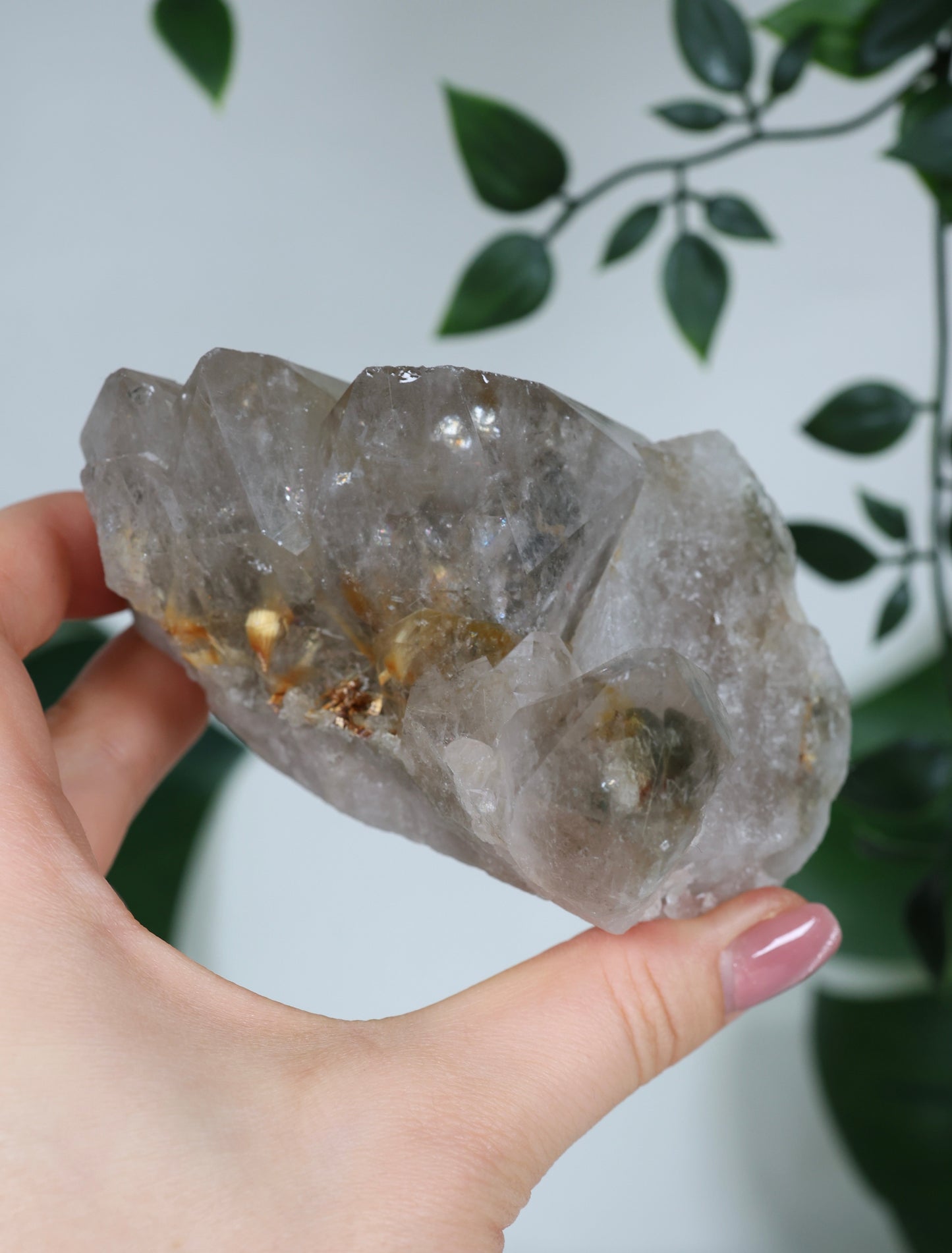 Garden Quartz x Rutilated Cluster No. 150GR