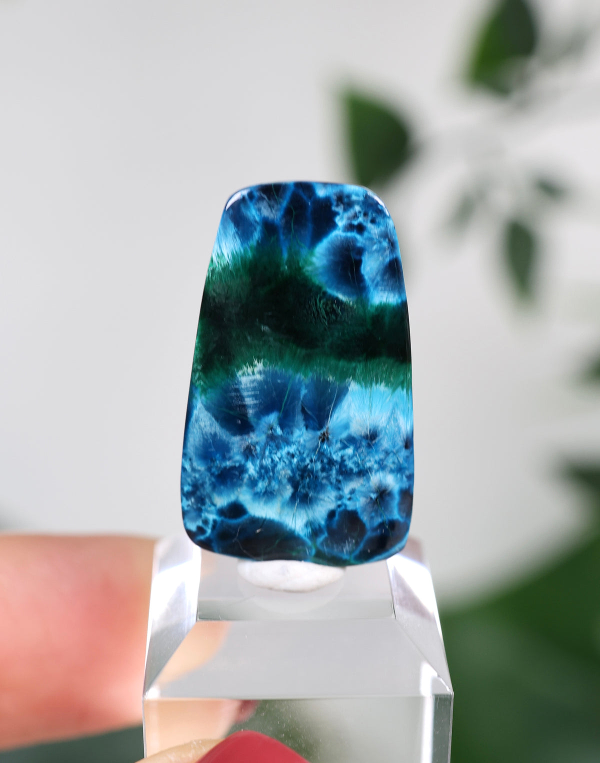 Tantara Shattuckit x Dioptas Oldstock Cabochon Nr.164SD