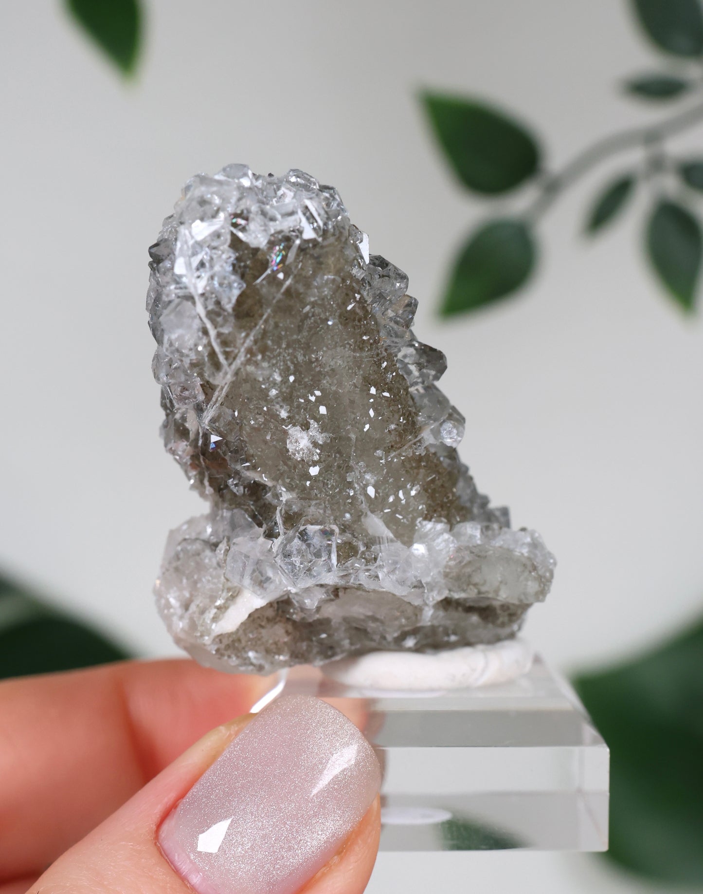 Apophyllite x Quartz x Chlorite No. 111Q2