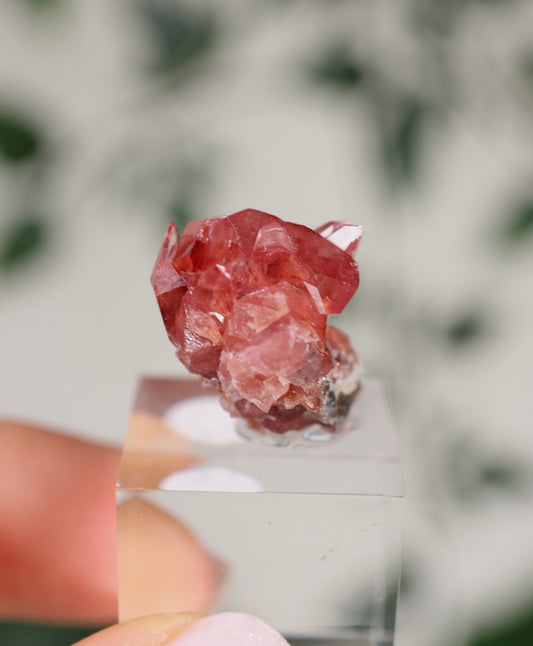 Kristallisierter Rhodochrosit Oldstock Nr.296RH
