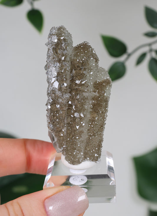 Apophyllite x Quartz x Chlorite No. 119QA