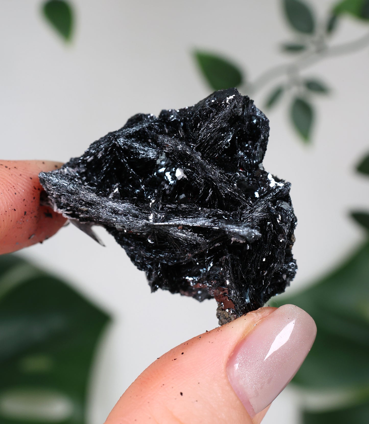 Specularite No. 86SP
