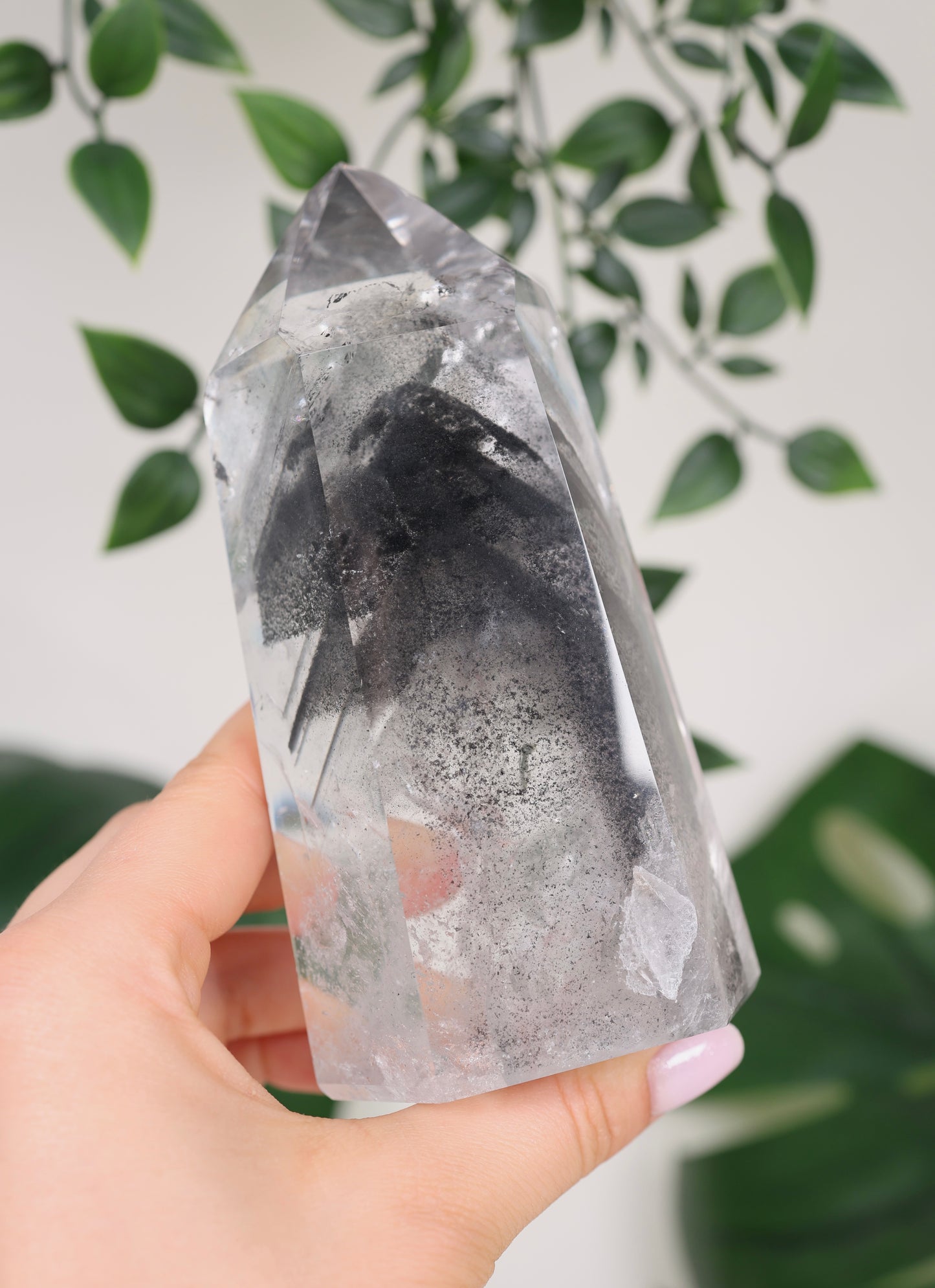 Black Phantom Lemurian Nr.555BL