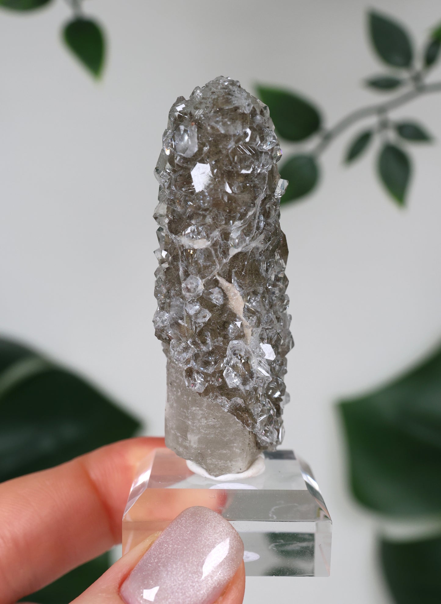 Apophyllite x Quartz x Chlorite No. 111Q3