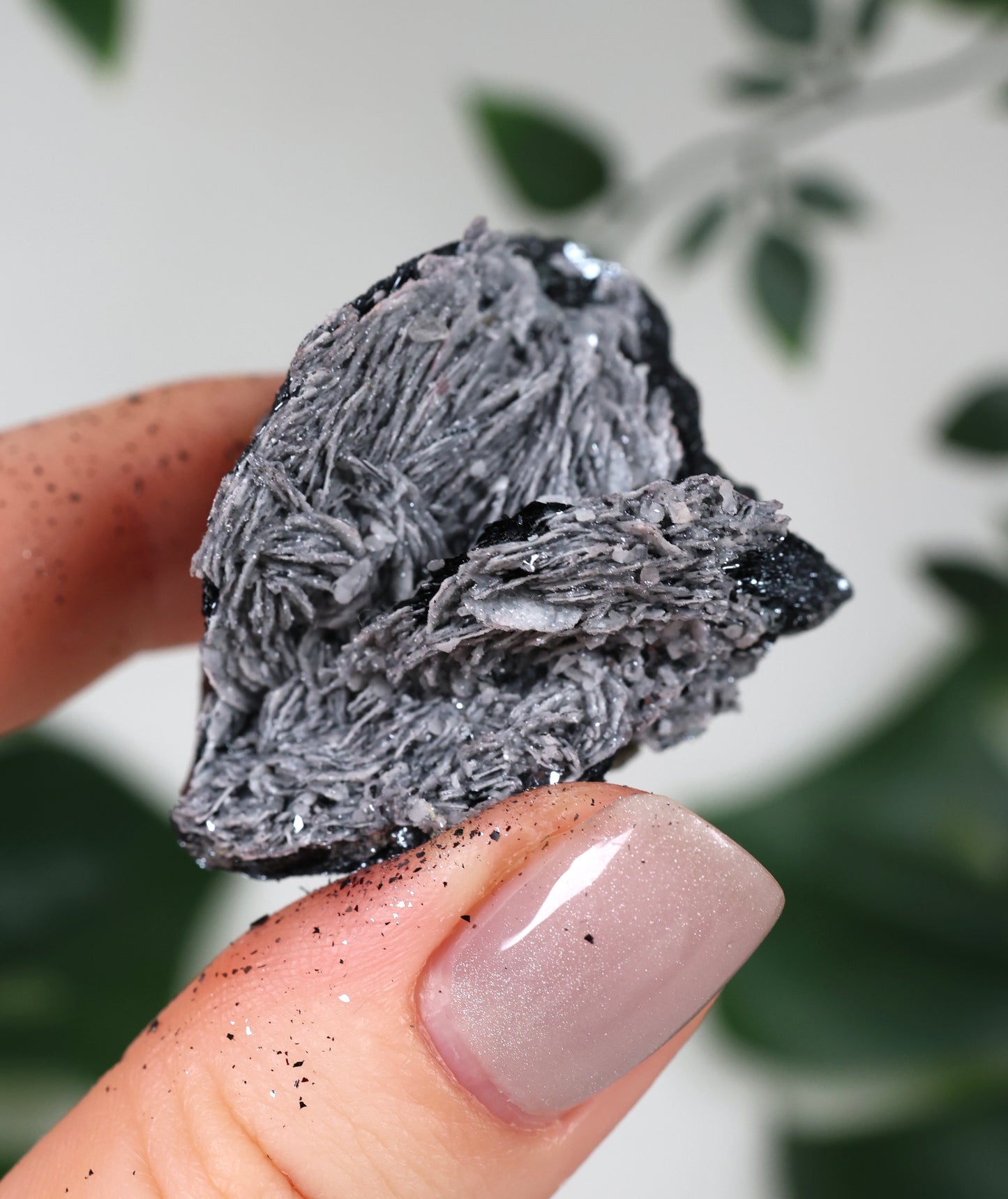 Specularite No. 76SP