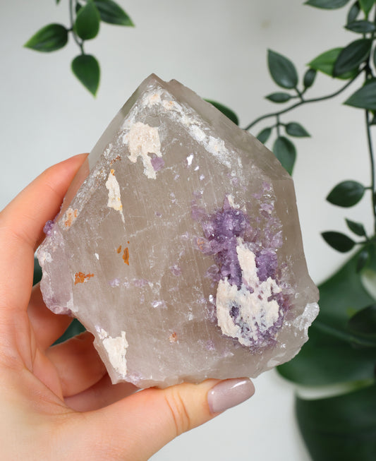 Citrine x Lepidolite No. 200CL