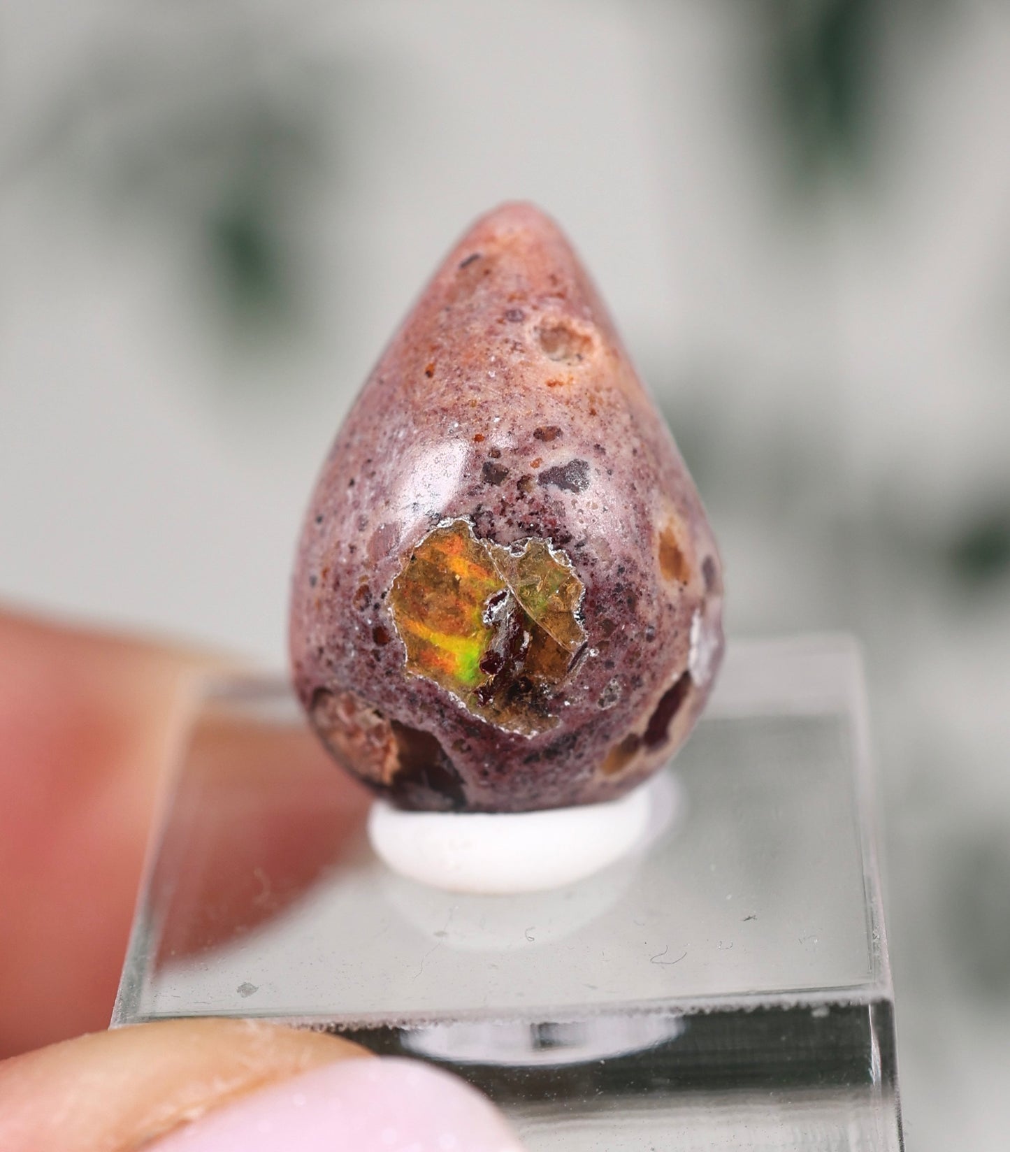 Cantera Opal Cabochon Nr.15CO