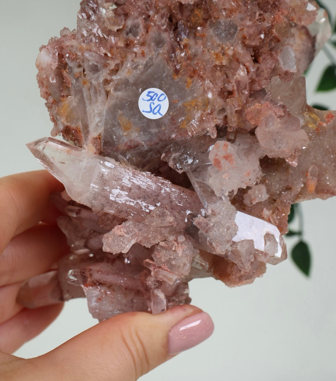 Sunset Quartz No. 500SQ