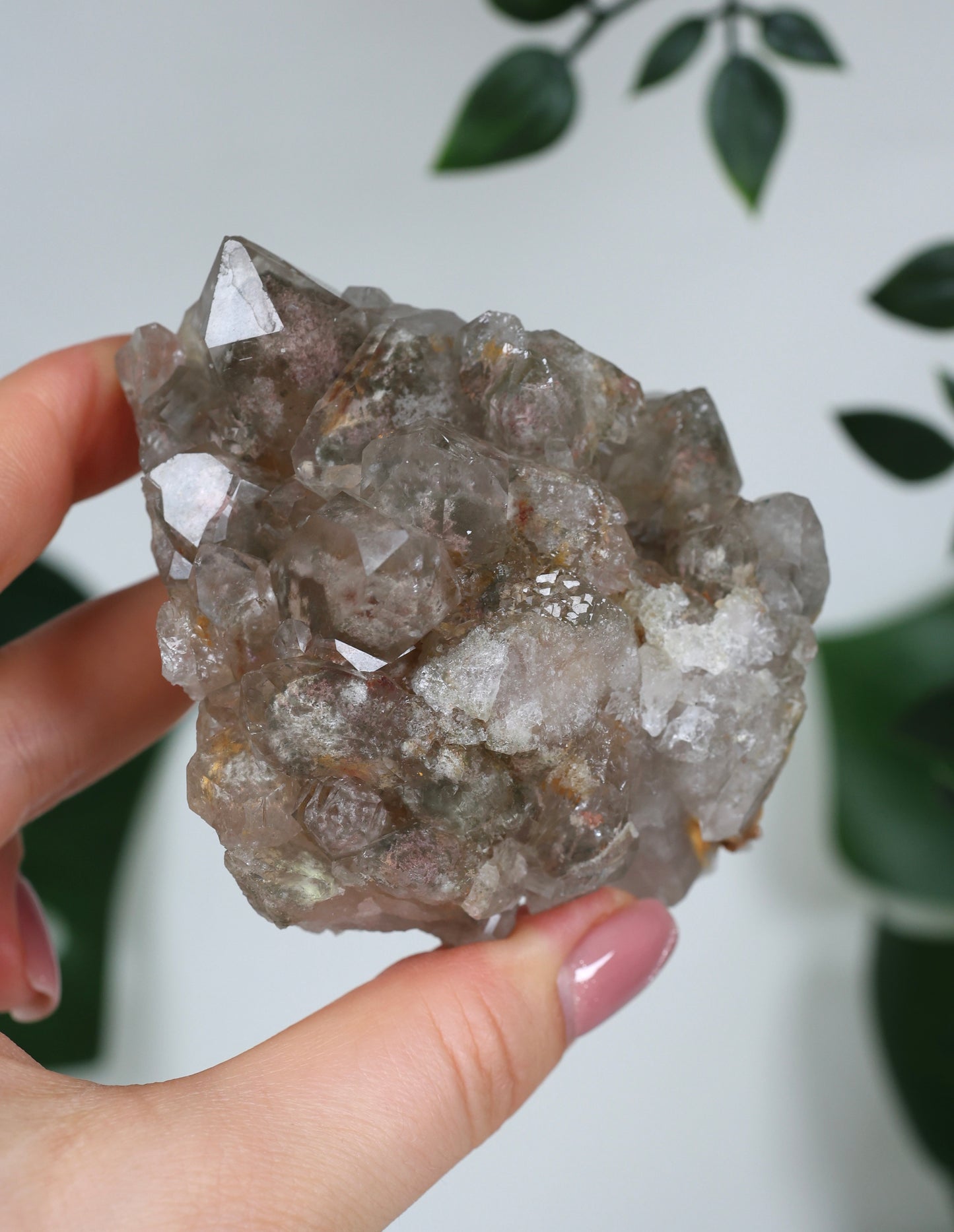 Garden Quartz x Rutile Cluster No.117GR