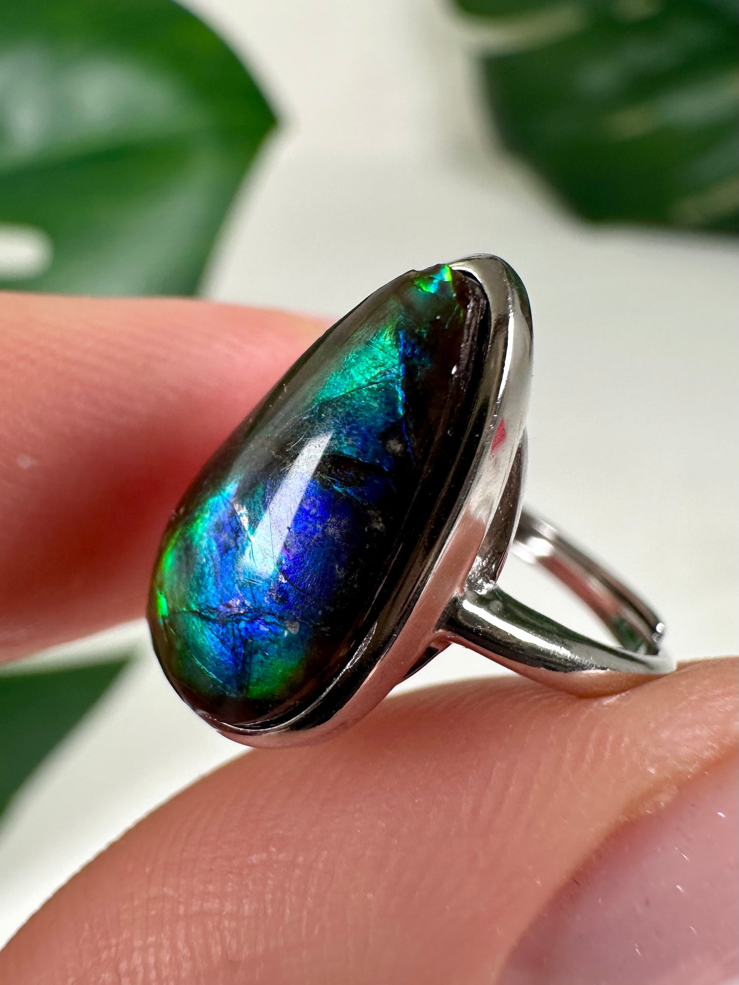 Ammolit Ring in 925 Silber Nr.110A2