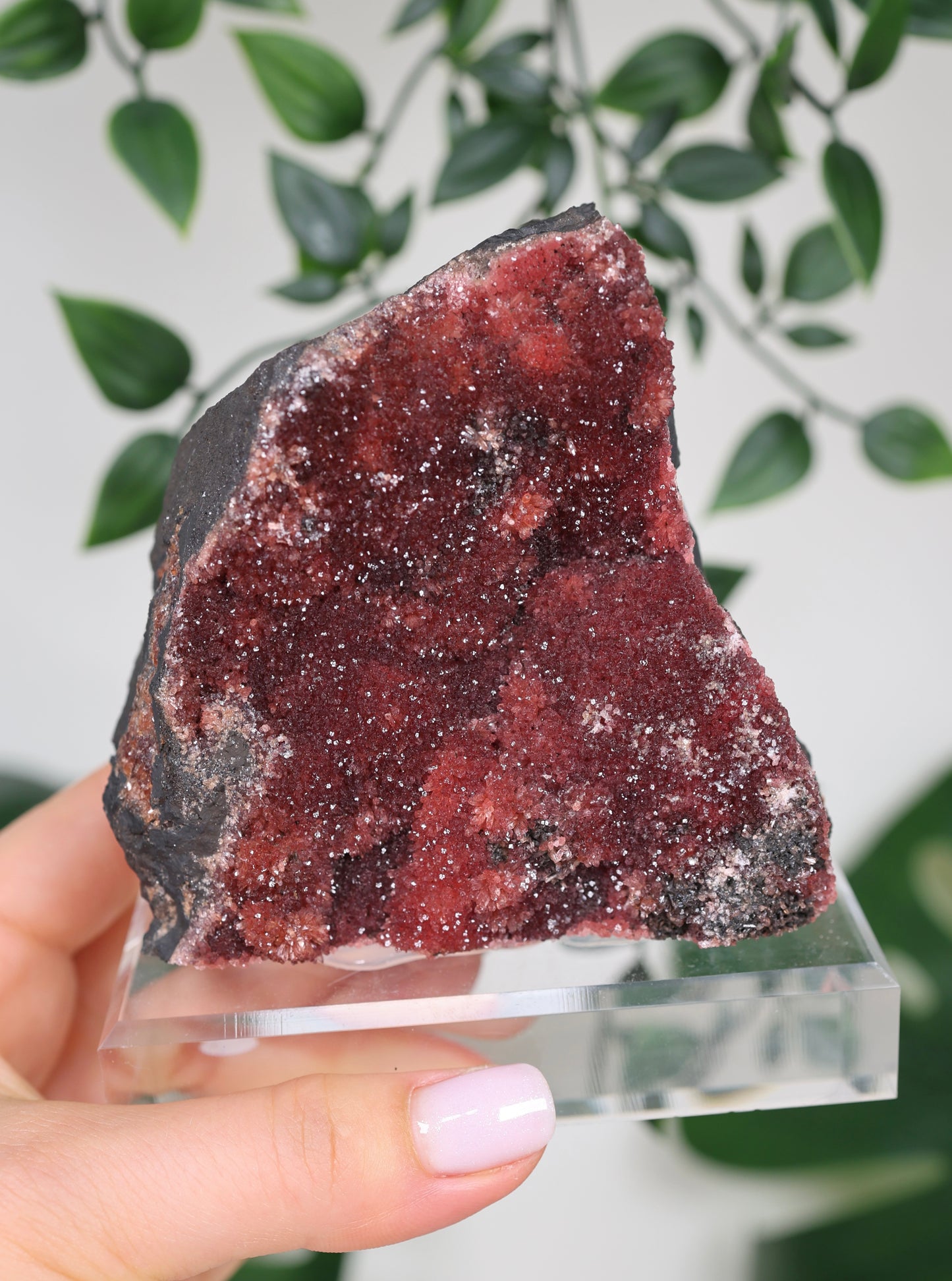 Kristallisierter Rhodochrosit Oldstock Nr.707RH