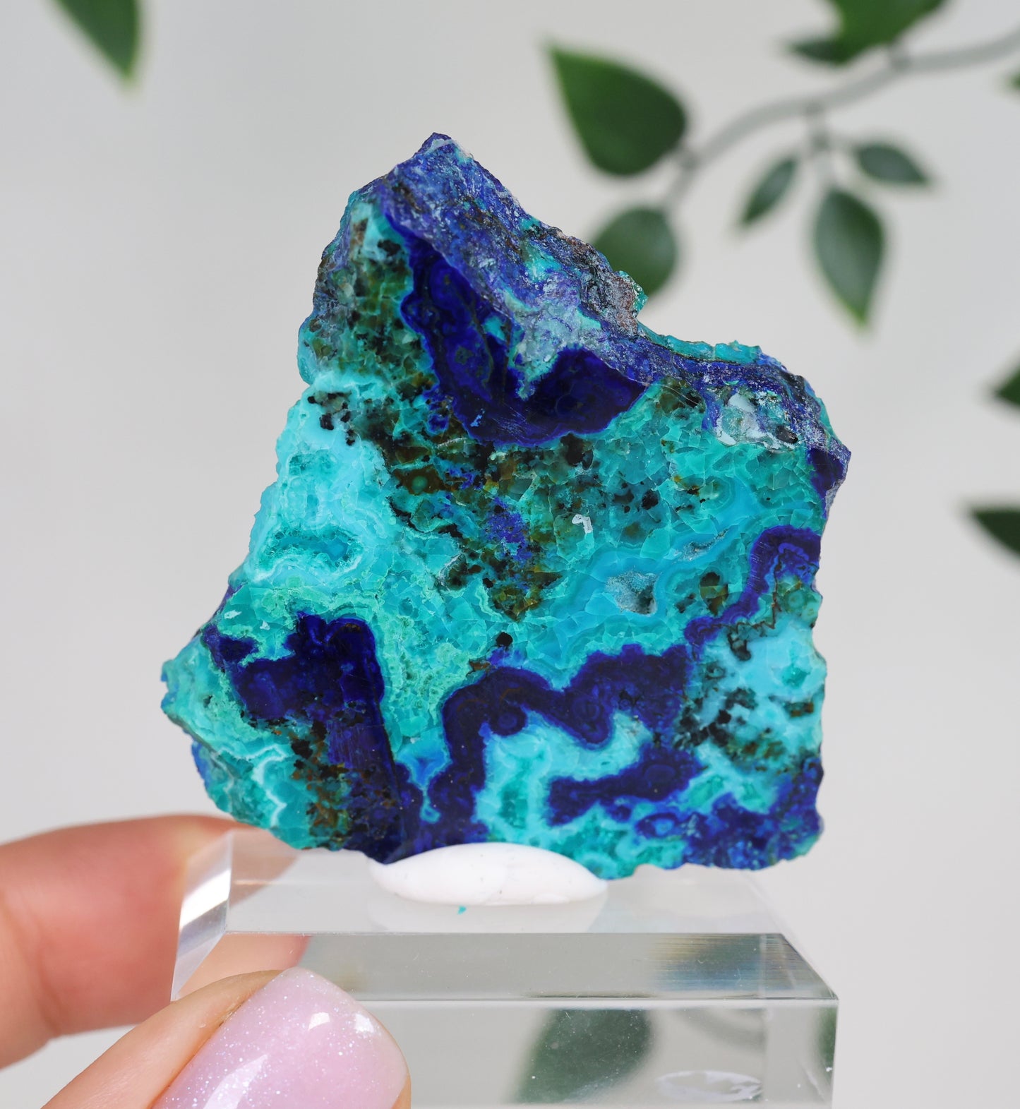 Azurite x Chrysocolla x Malachite No.147AZ 