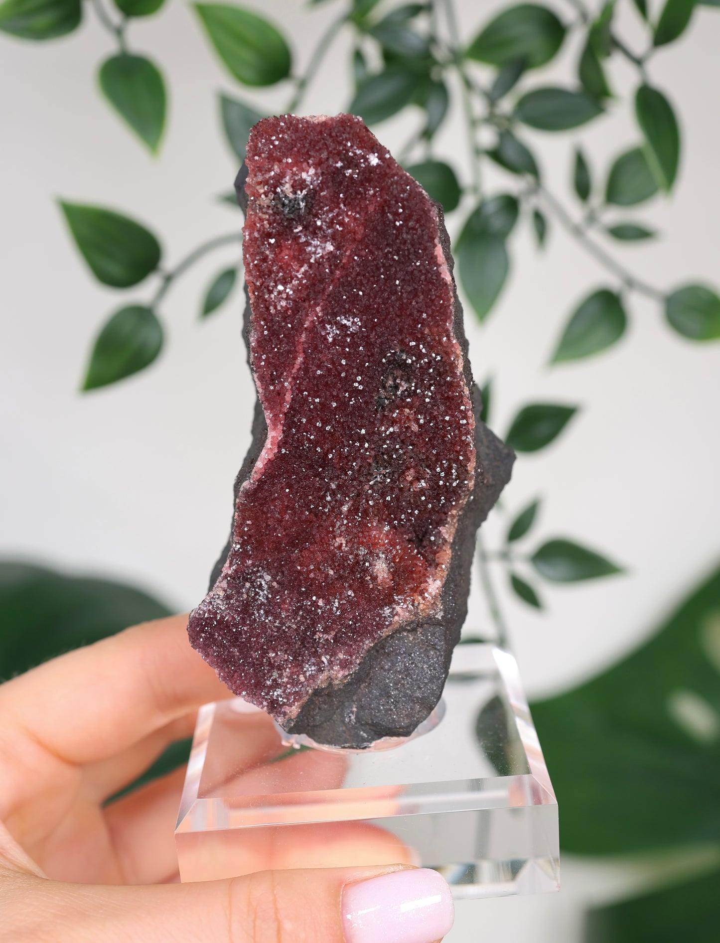 Kristallisierter Rhodochrosit Oldstock Nr.434RH