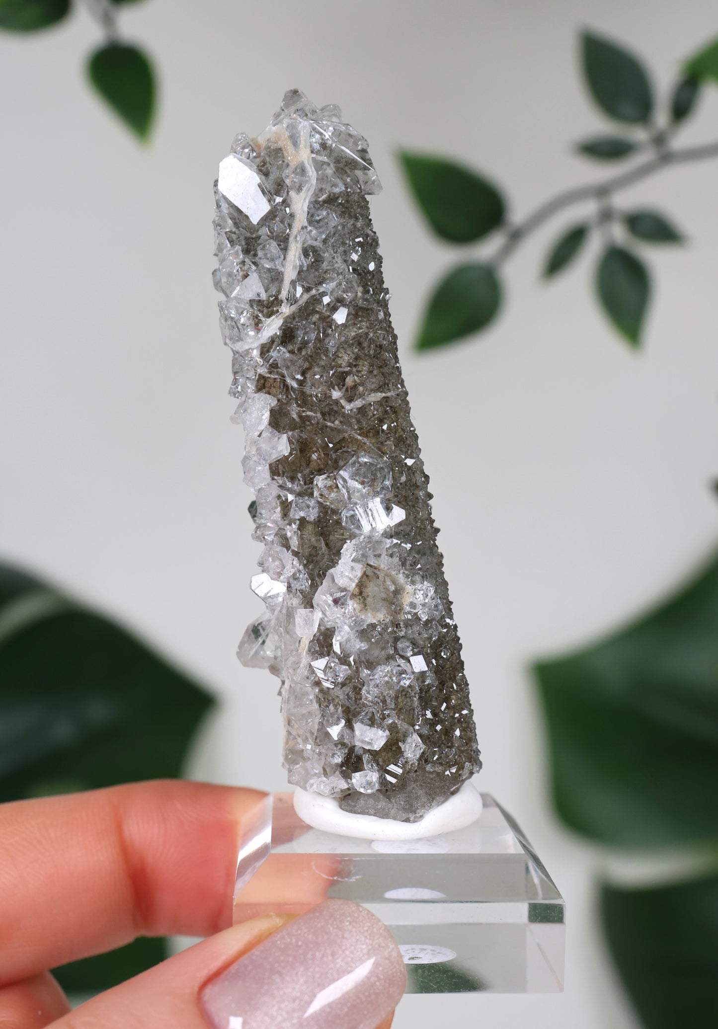 Apophyllite x Quartz x Chlorite No.110QA