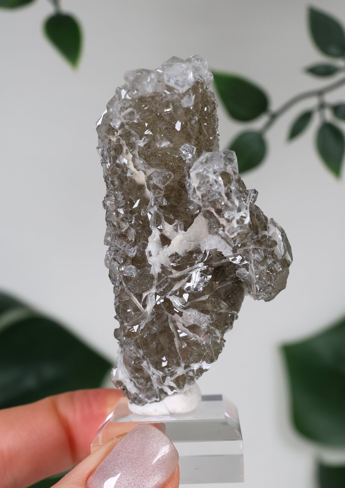 Apophyllite x Quartz x Chlorite No. 129QA