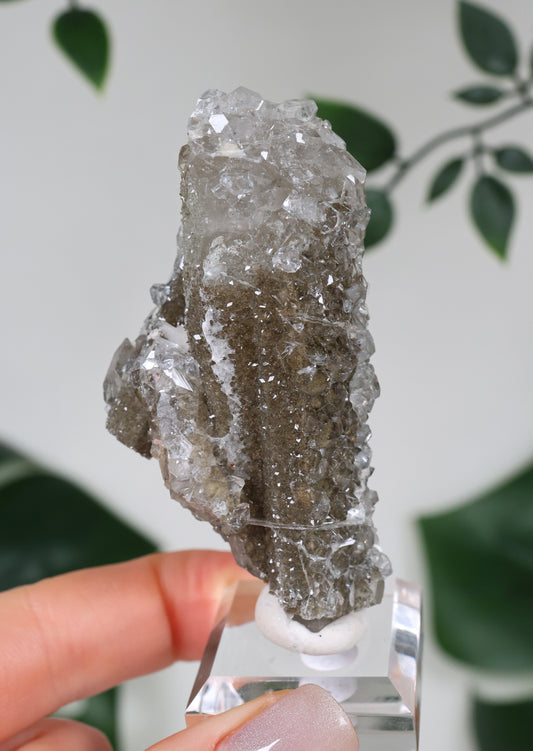 Apophyllite x Quartz x Chlorite No. 129QA