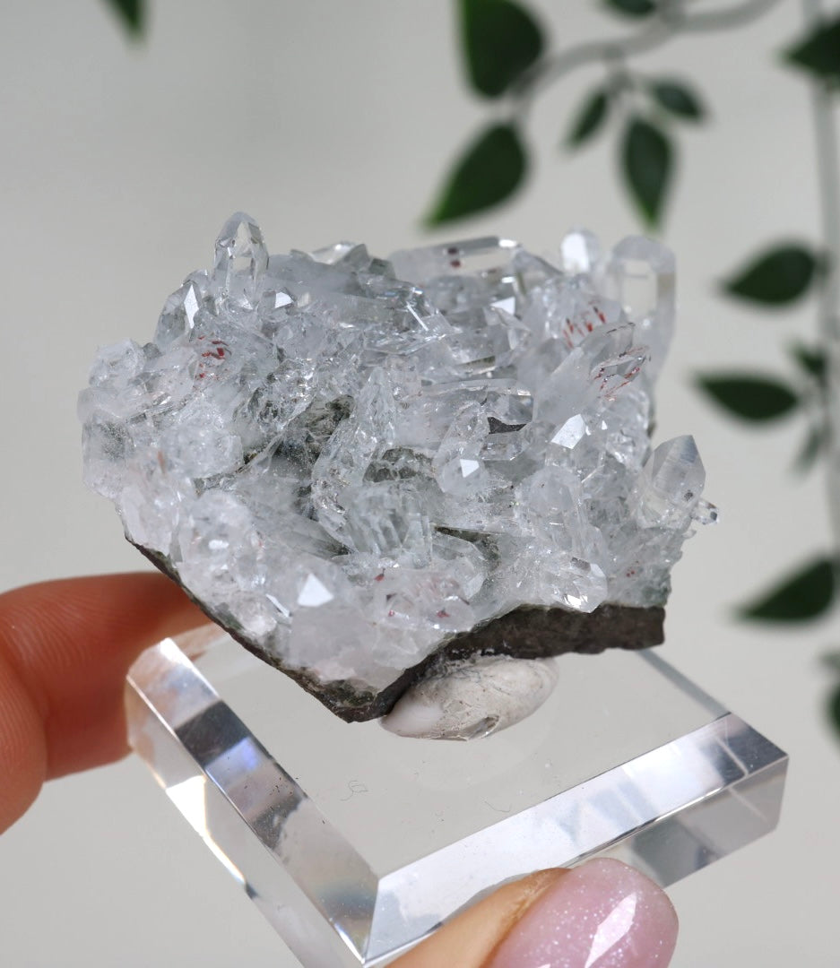 Starburst Quartz x Hematite Goboboseb No.156GQ