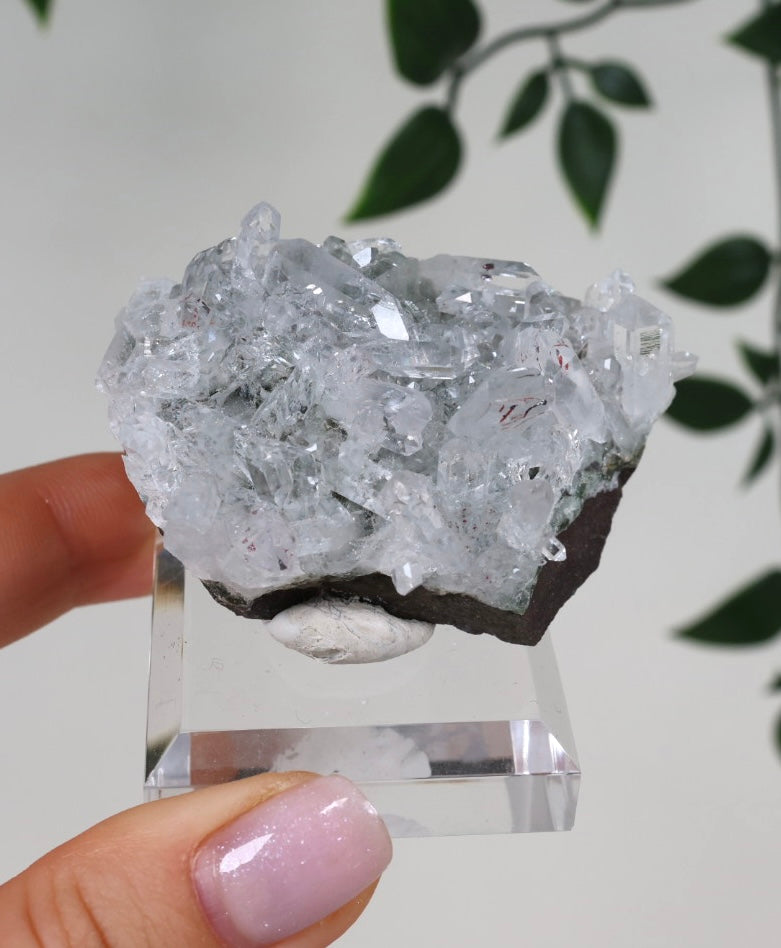 Starburst Quartz x Hematite Goboboseb No.156GQ