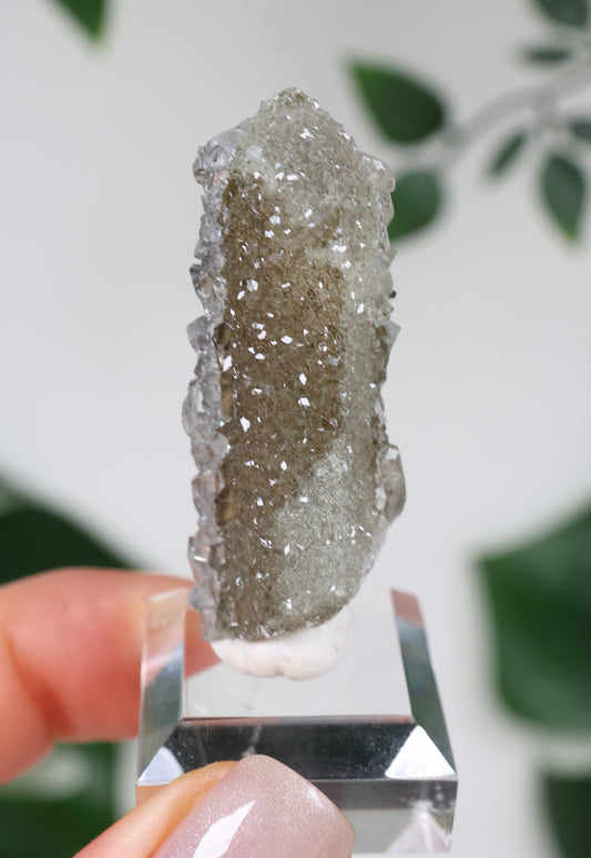 Apophyllite x Quartz x Chlorite No.62Q1